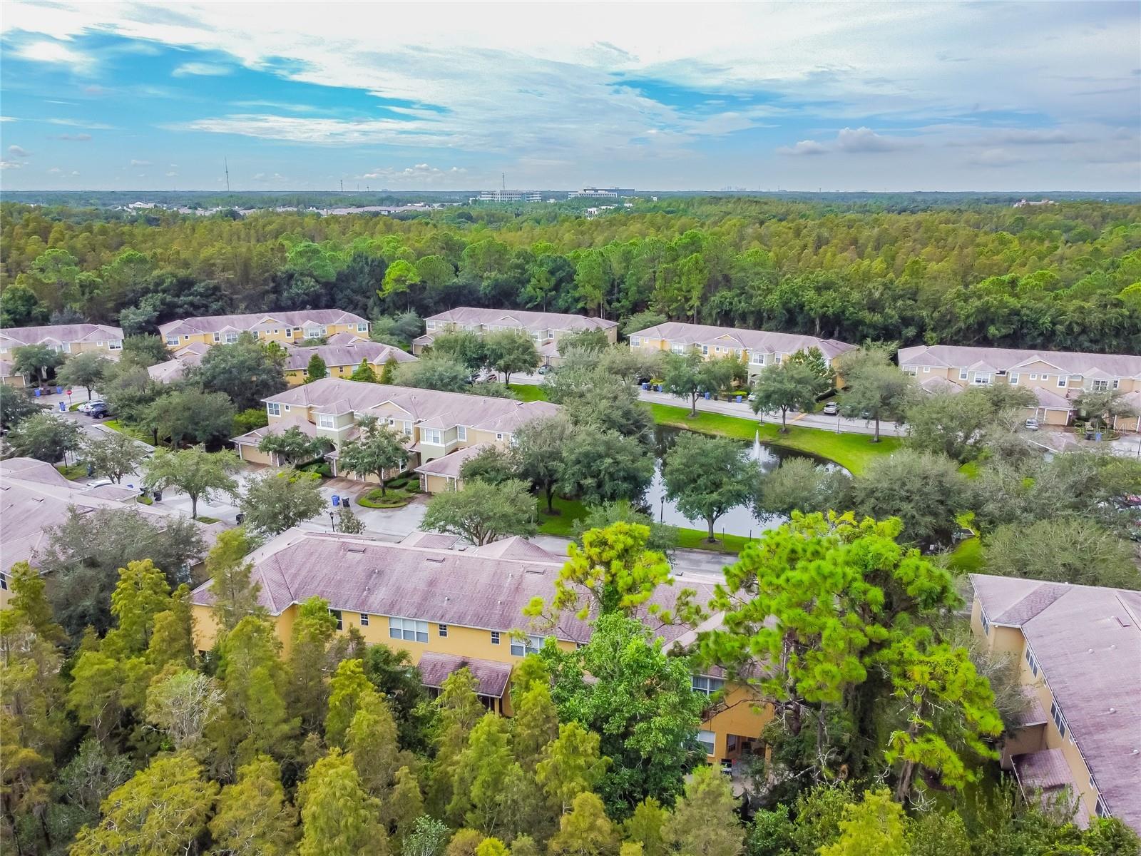 STONE RIDGE AT HIGHWOODS PRESE - Residential