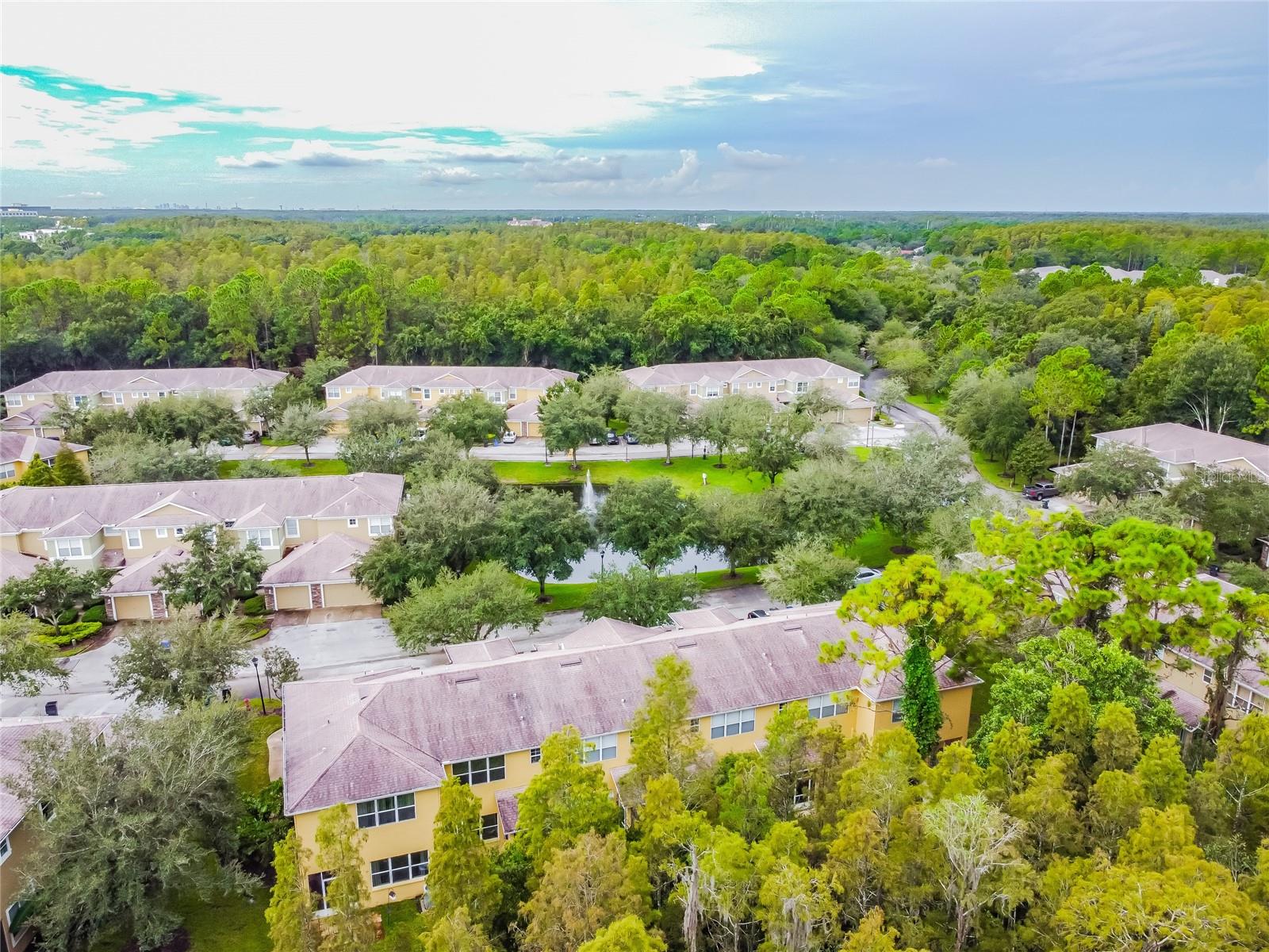 STONE RIDGE AT HIGHWOODS PRESE - Residential