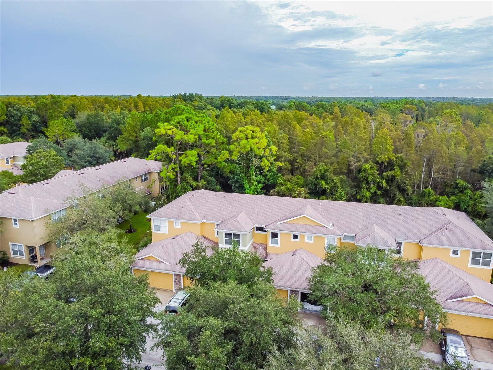 STONE RIDGE AT HIGHWOODS PRESE - Residential
