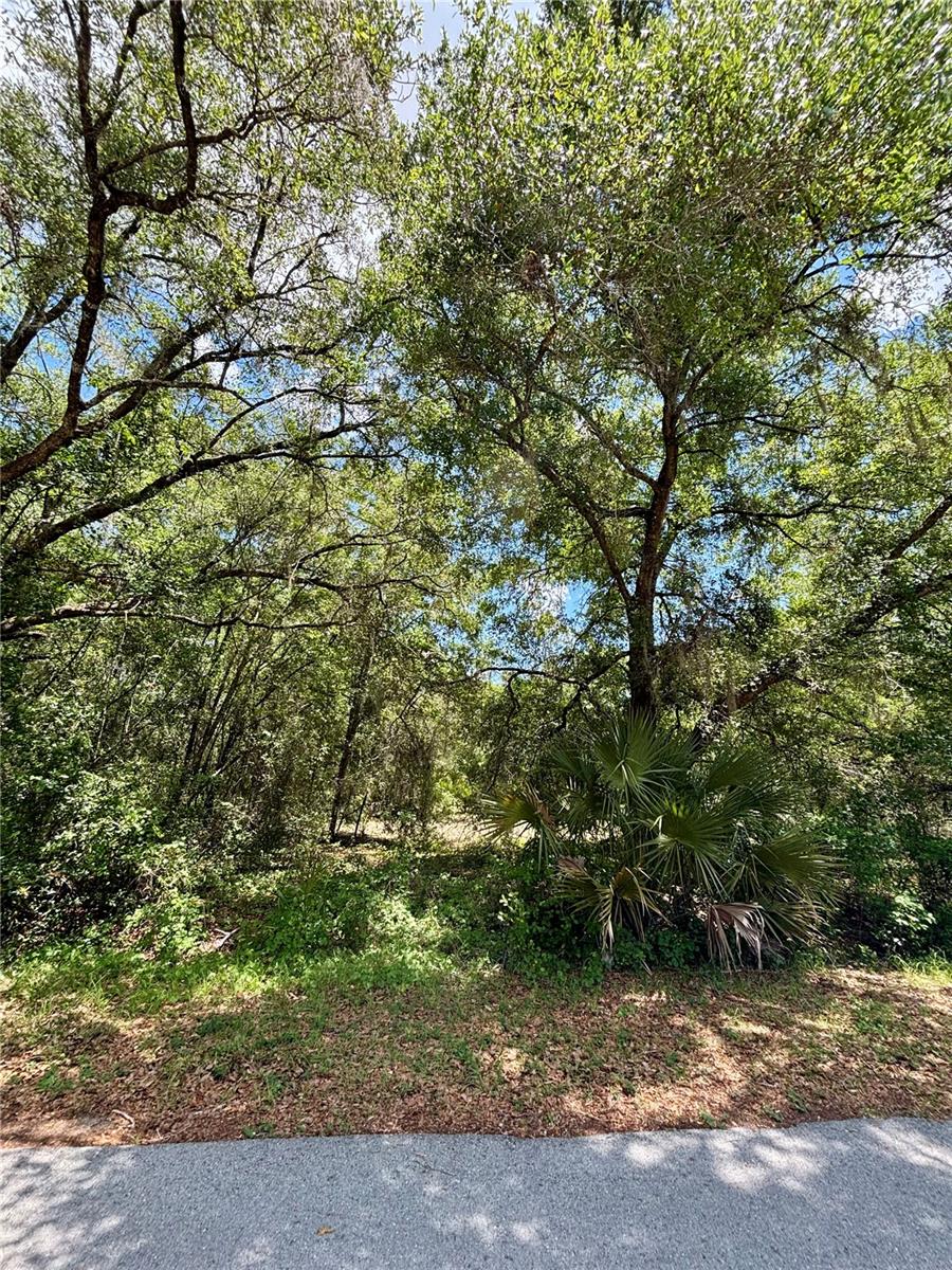RAINBOW LAKES ESTATE - Land