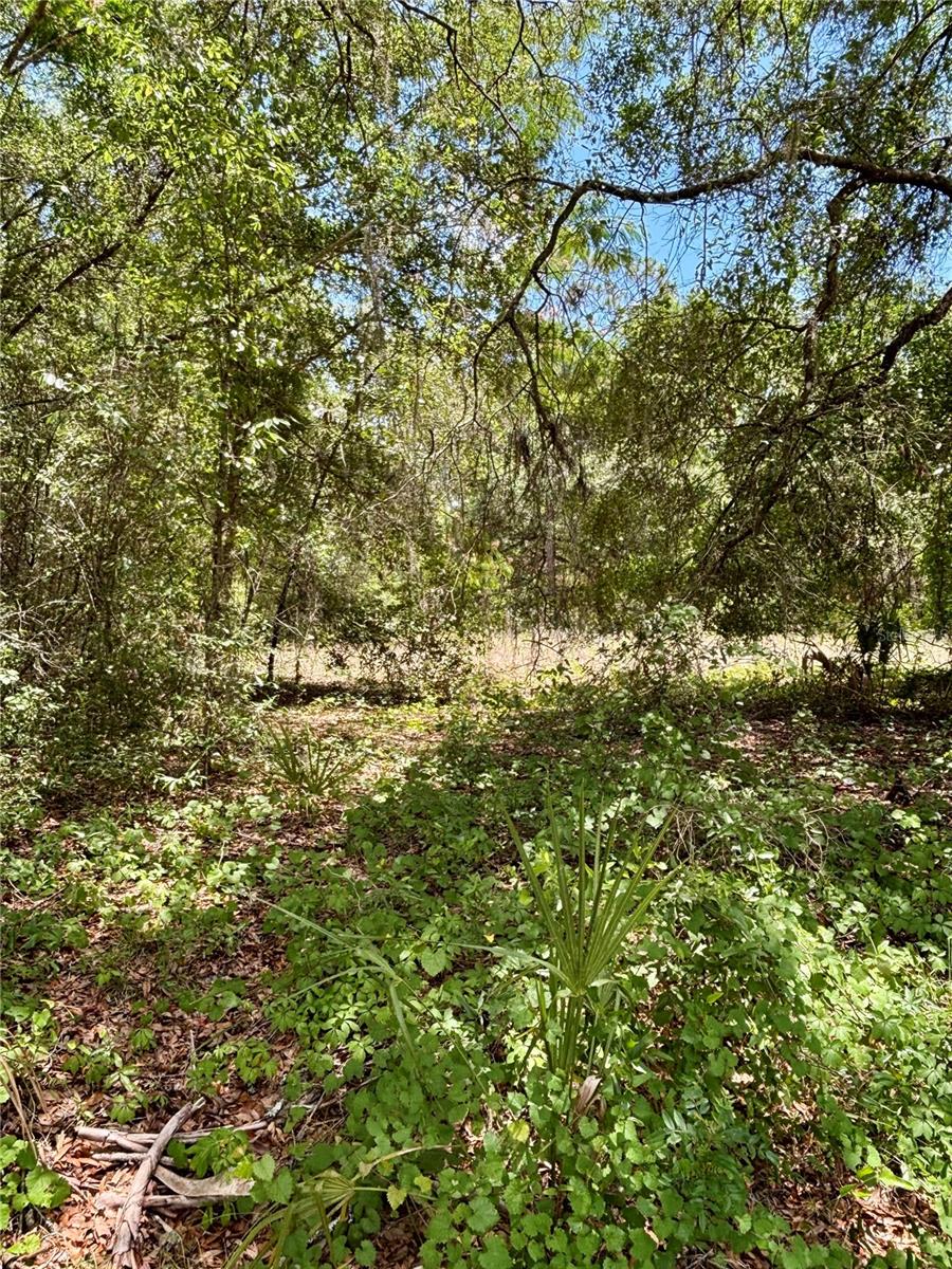 RAINBOW LAKES ESTATE - Land