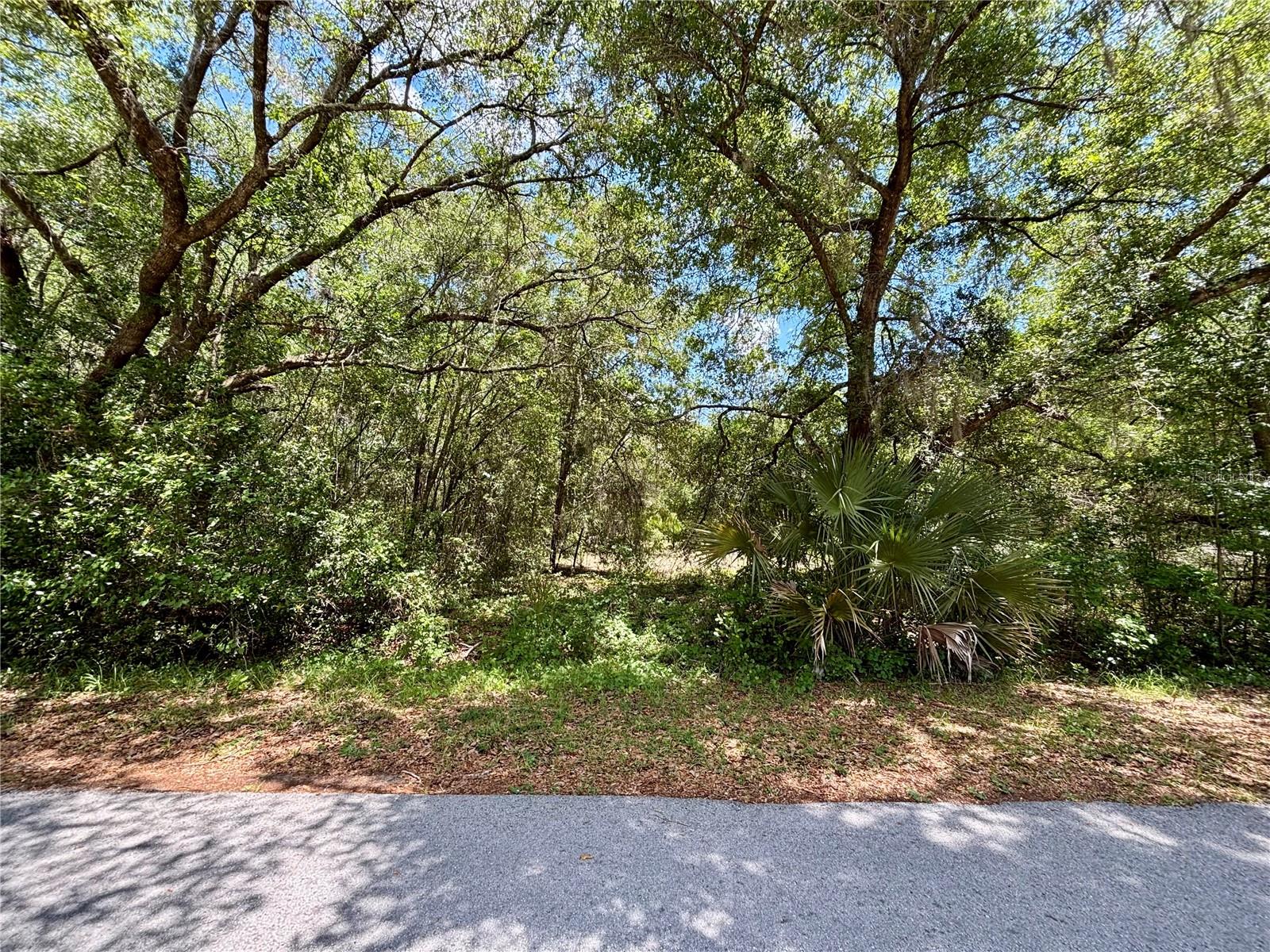 Fantastic opportunity to build your dream home in the desirable and charming town of Dunnellon, FL.  This lot is located on SW Shorewood Drive which is the perimeter road on Tiger Lake, it is zoned R1 and is located in Flood Zone X, offering added peace of mind.  The lot features a paved road with electricity nearby.  Rainbow Lakes Estates enjoy a wide array of community amenities, including a clubhouse, community center, youth center, playground, basketball, tennis courts, shuffleboard, gazebo, lakeview deck and fishing pier.  Two private boat ramps provide access to Lake Bonable and Tiger Lake - all with no HOA fees.  Conveniently located near historical downtown Dunnellon and the natural beauty of Rainbow Springs State Park, where you can enjoy kayaking, tubing, swimming and more.  Also just a sort drive to Juliette Falls Golf Course and the World Equestrian Center.  Enjoy easy access to Ocala, Gainesville, and Crystal River.  Drive by today and envision the possibilities - sign on property.
