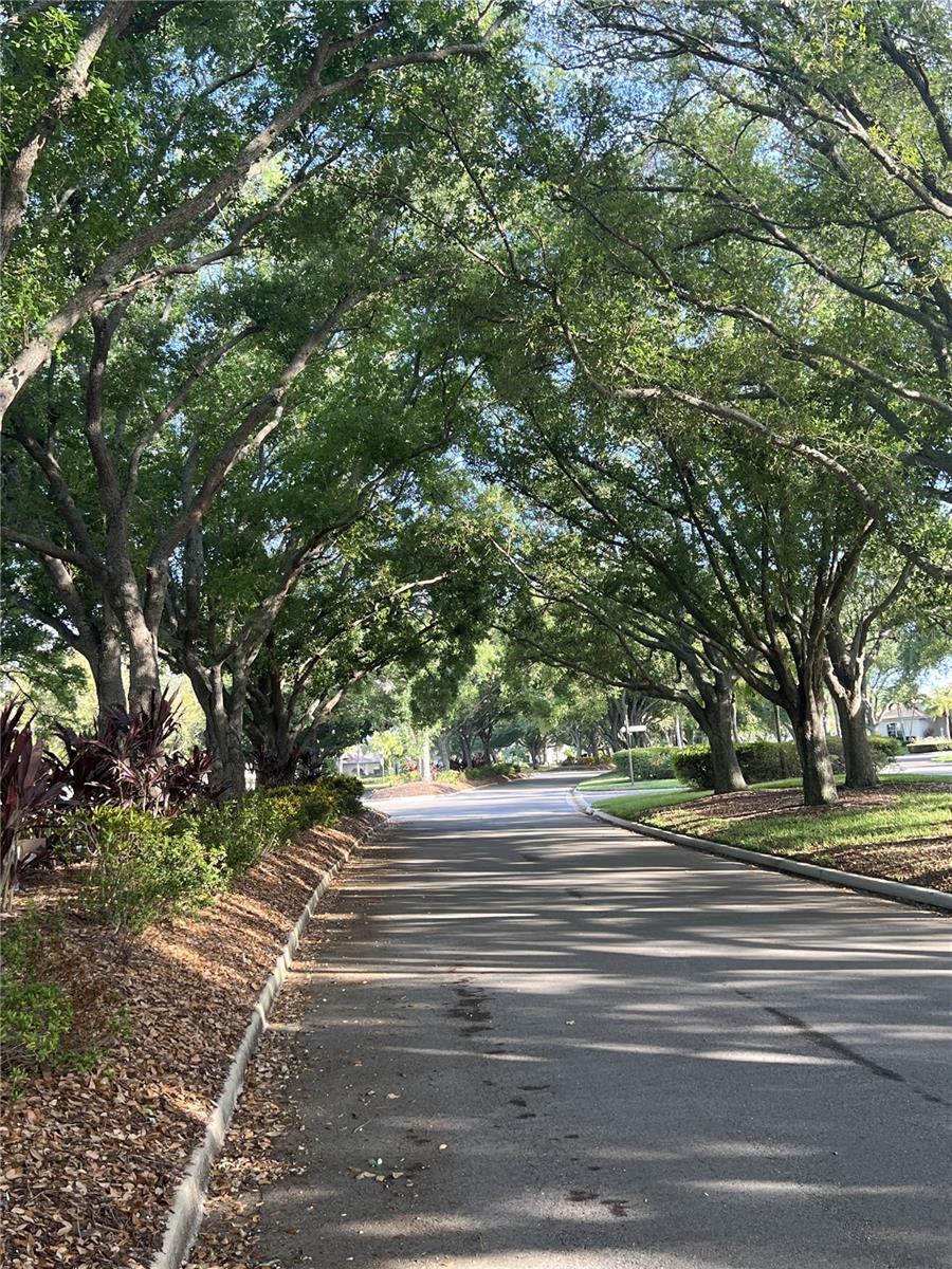 VENICE GOLF & COUNTRY CLUB - Residential