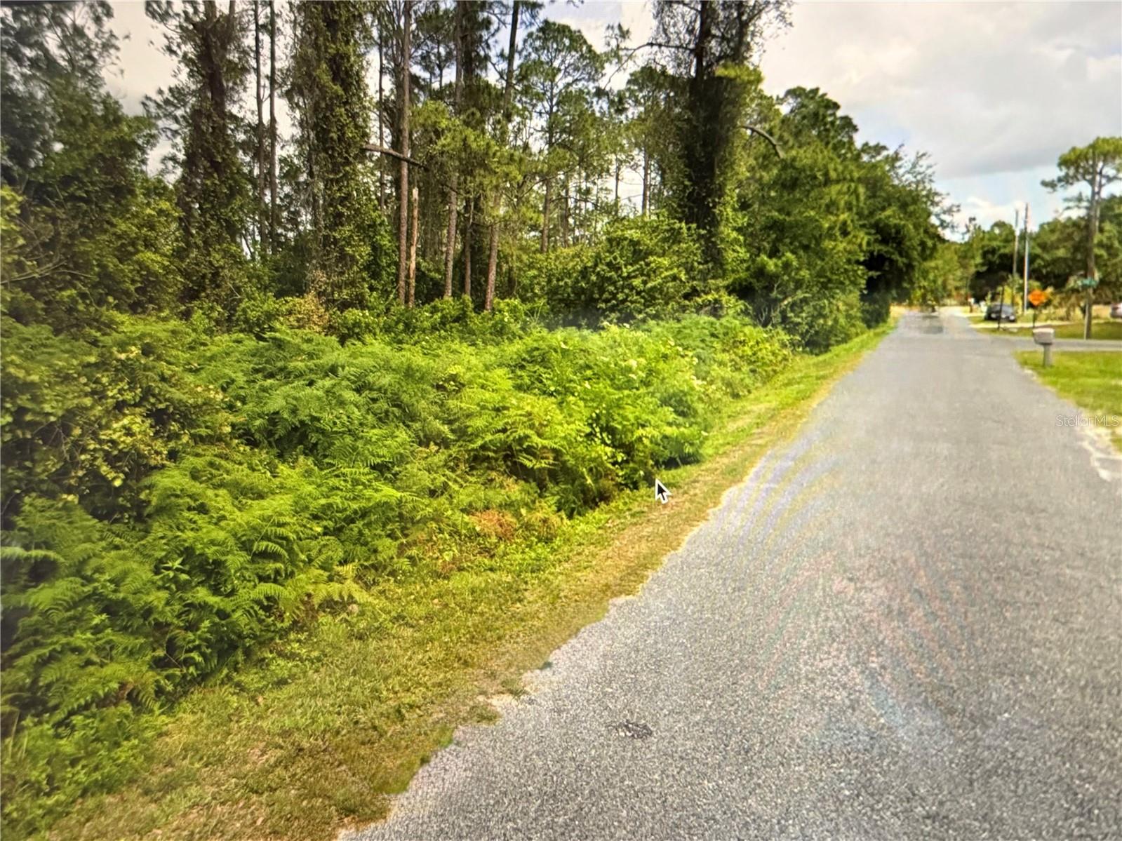 75'X130' single family lot on 0.22 acres; paved street;NON HOA subdivision. Lot has been subdivided and is accessible. Property is on Fig Leaf Street near the intersection of Fig and Rib. Great opportunity to own a vacant lot on Fig Leaf Street in the tucked away, Eden on the Lakes Community in the thriving Saint Cloud area! Community set around Center Lake and neighborhood enjoys a private boat ramp for residents use. This property offers a peaceful setting with convenient access to shopping, dining, medical, major roadways, and all that Central Florida has to offer. Whether you’re planning a custom build, seasonal retreat, or investment project, this lot provides excellent potential in a desirable and growing location. Information is deemed to be true, but Buyer should independently verify any pertinent information to their satisfaction. Secure your piece of Saint Cloud today!