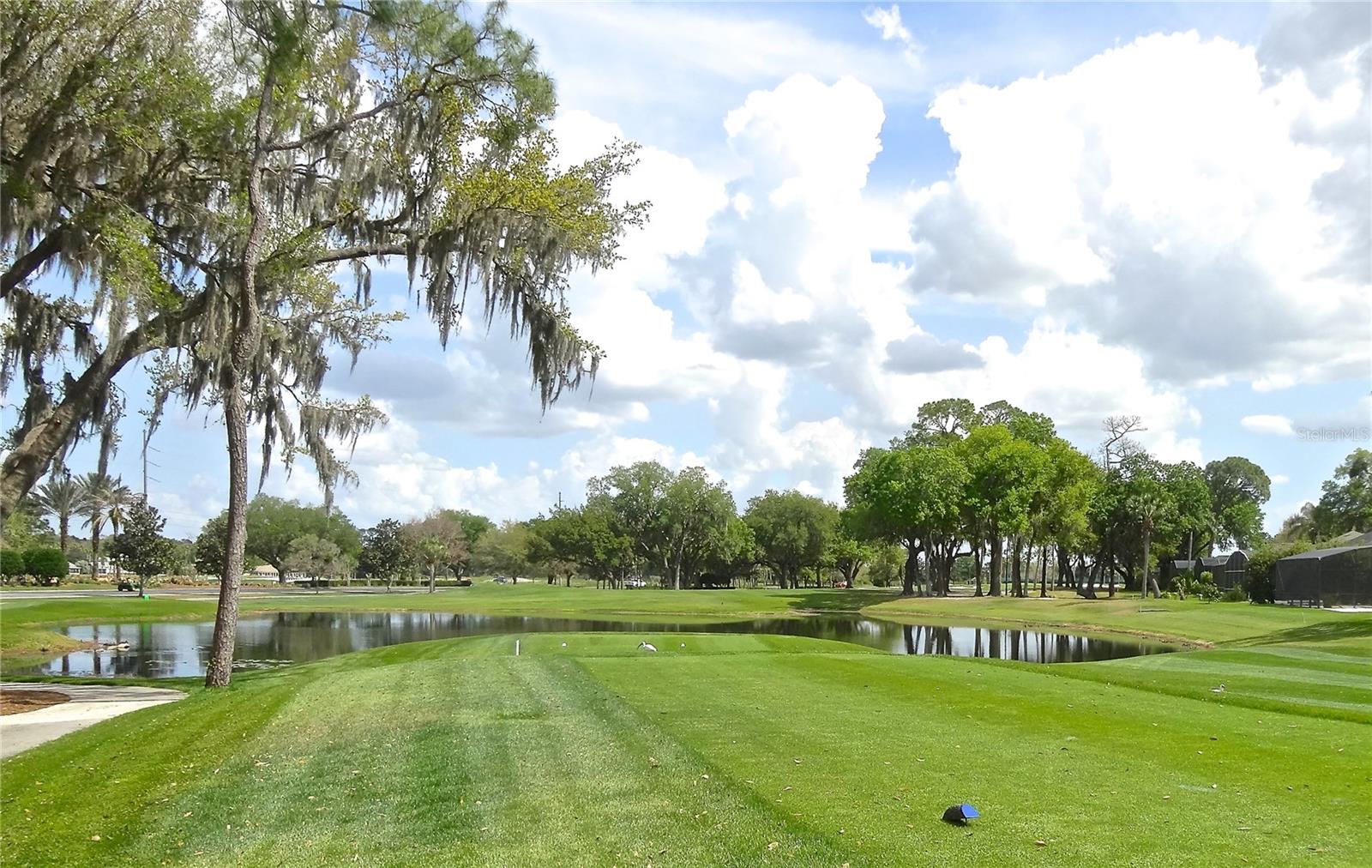 RIDGWOOD LAKES VILLAGE 3A - Commercial Sale