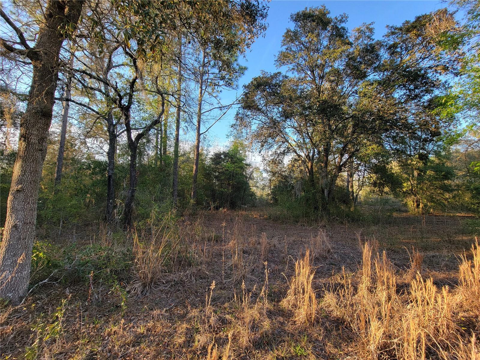AG NON SUB - Land