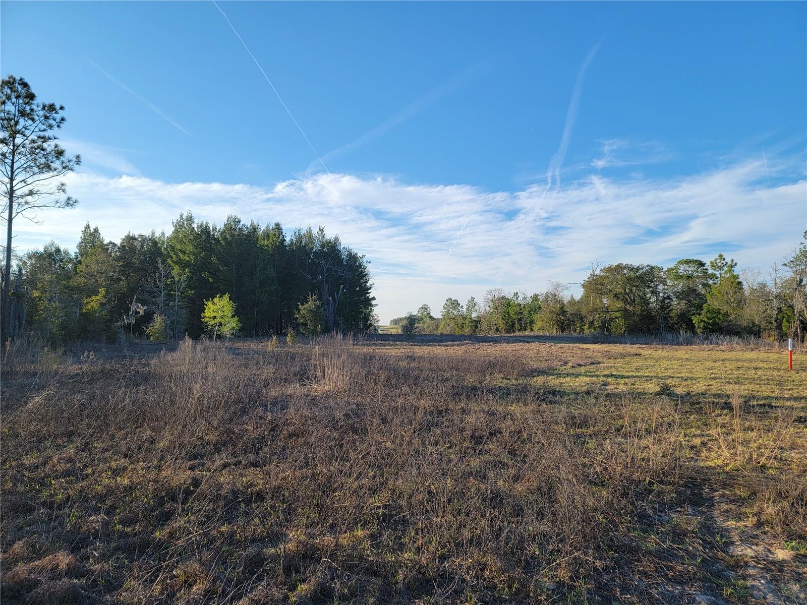 AG NON SUB - Land