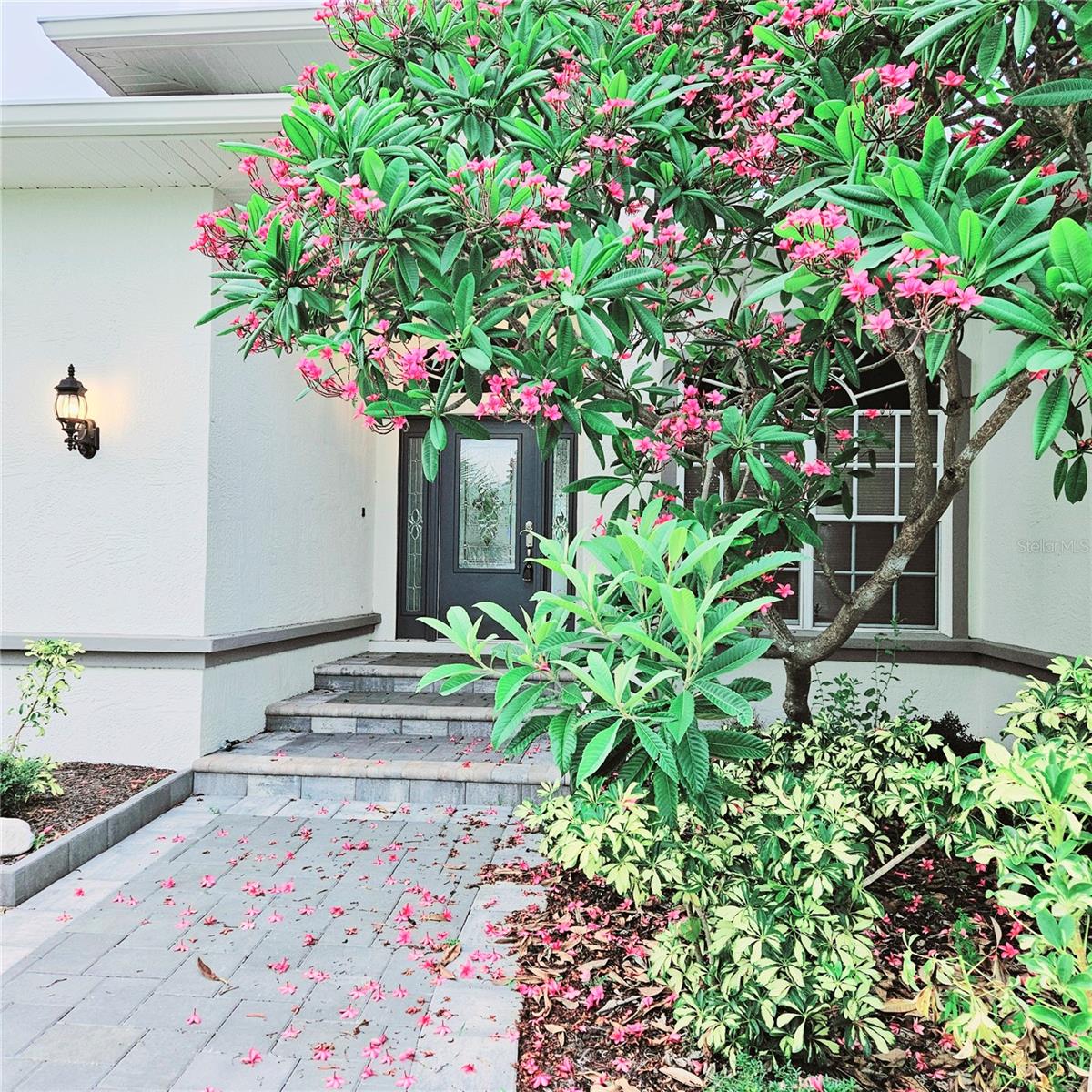 BEACH CLUB ESTATES - Residential