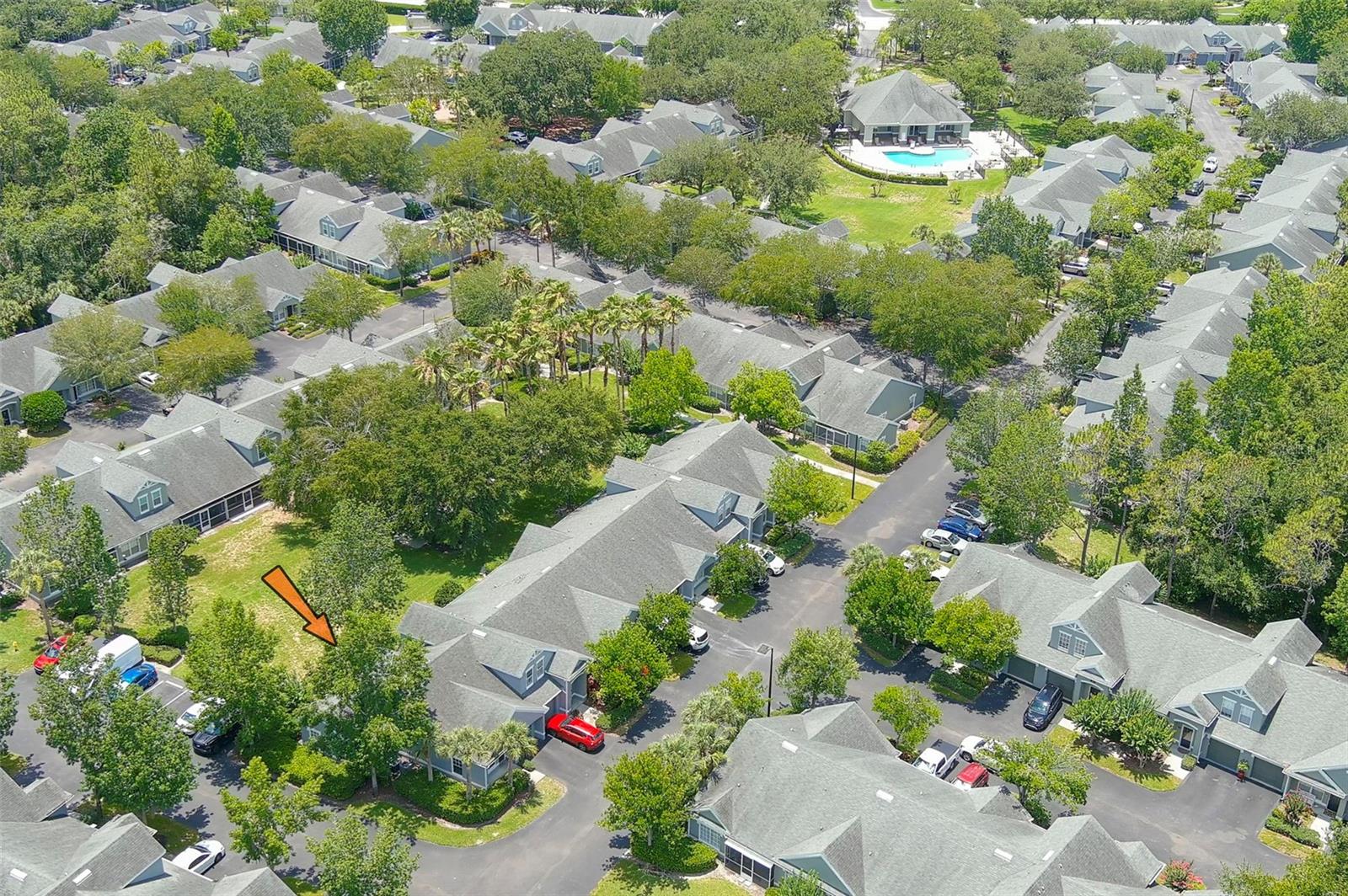 WATERFORD AT PALM HARBOR LUXURY CONDO - Residential
