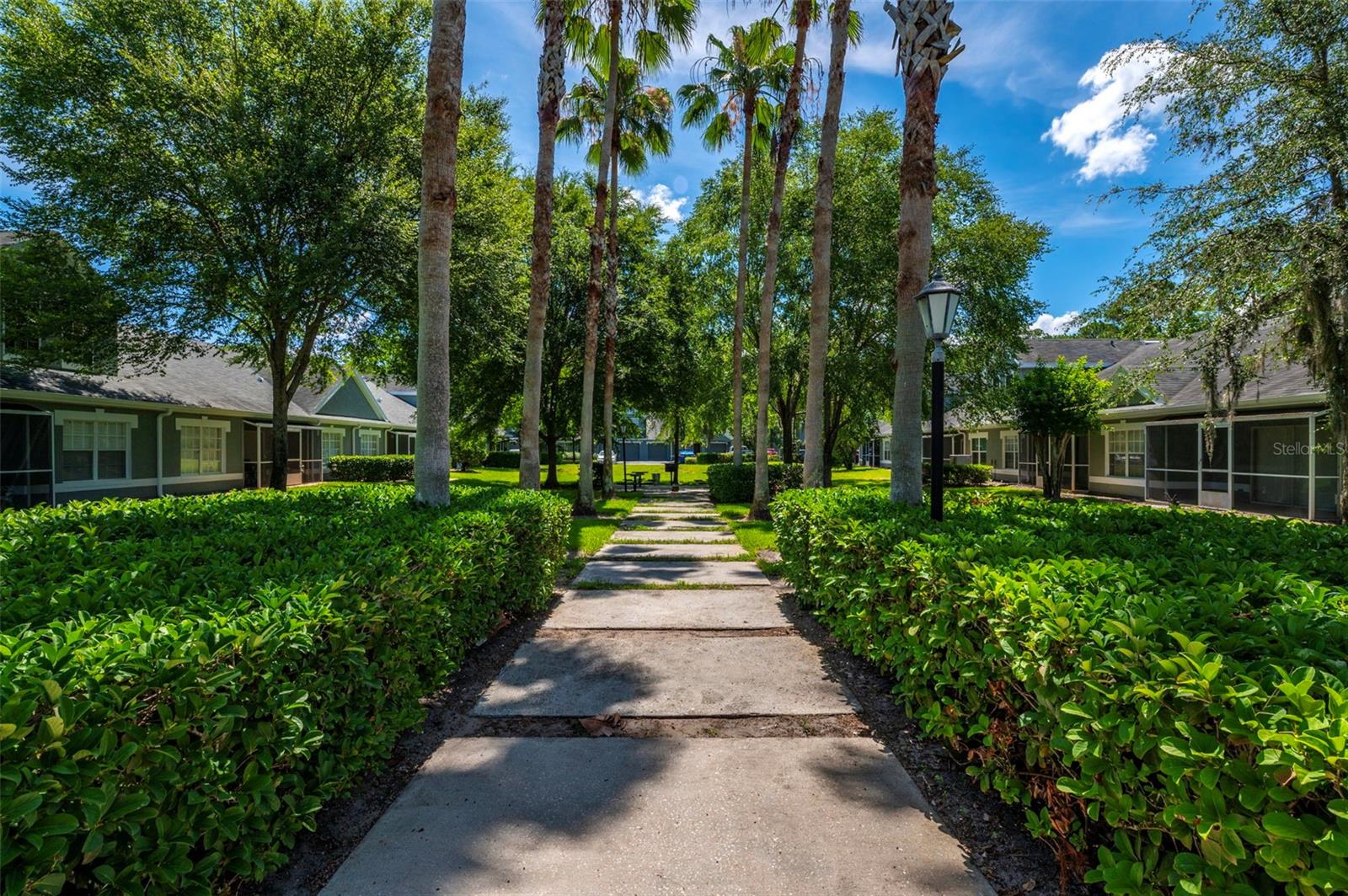WATERFORD AT PALM HARBOR LUXURY CONDO - Residential
