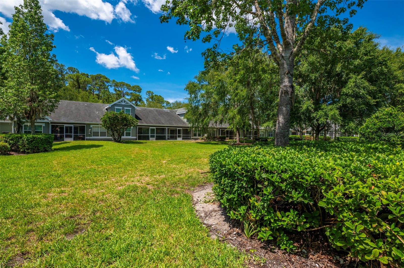 WATERFORD AT PALM HARBOR LUXURY CONDO - Residential