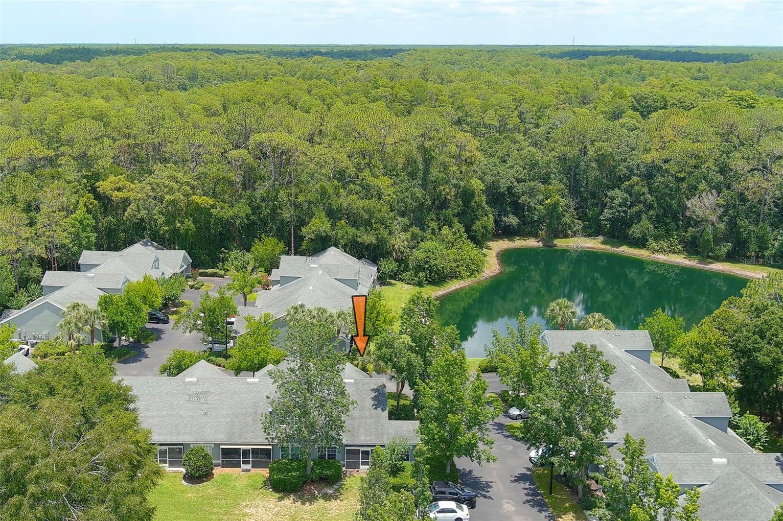 WATERFORD AT PALM HARBOR LUXURY CONDO - Residential