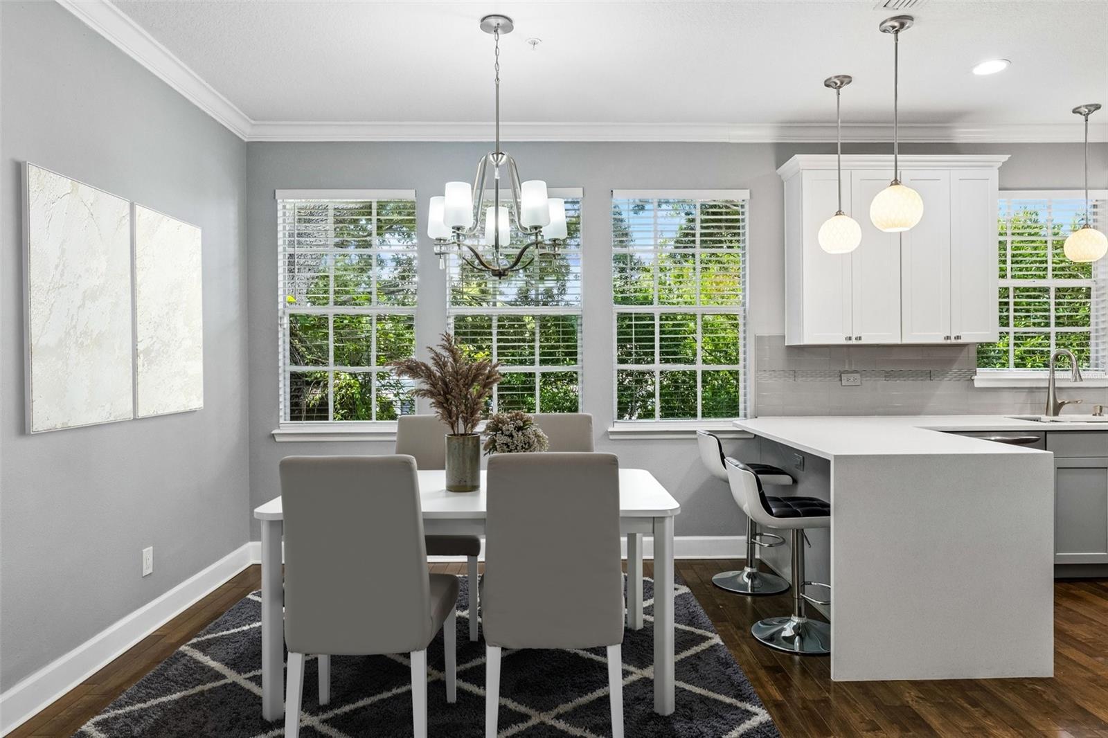 AUDUBON VILLAS TWNHMS - Residential