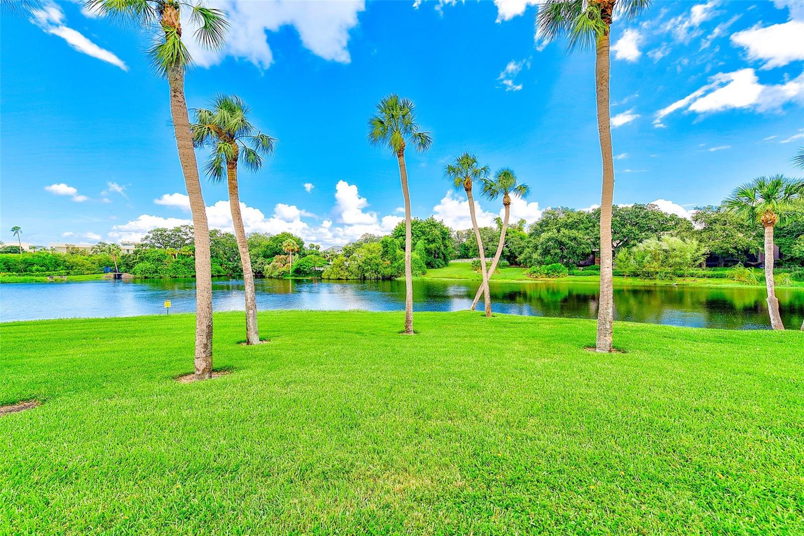BELLEVIEW BILTMORE VILLAS BAYSHORE II - Residential