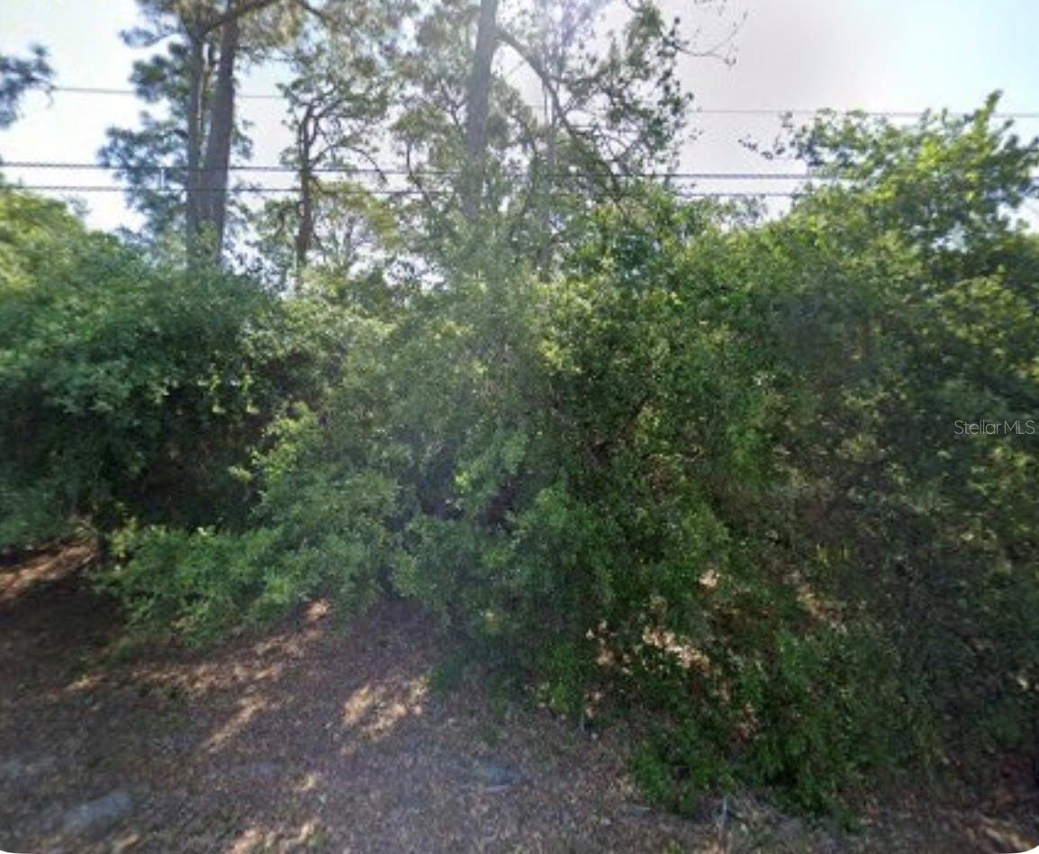 Great Lot to build your dream home