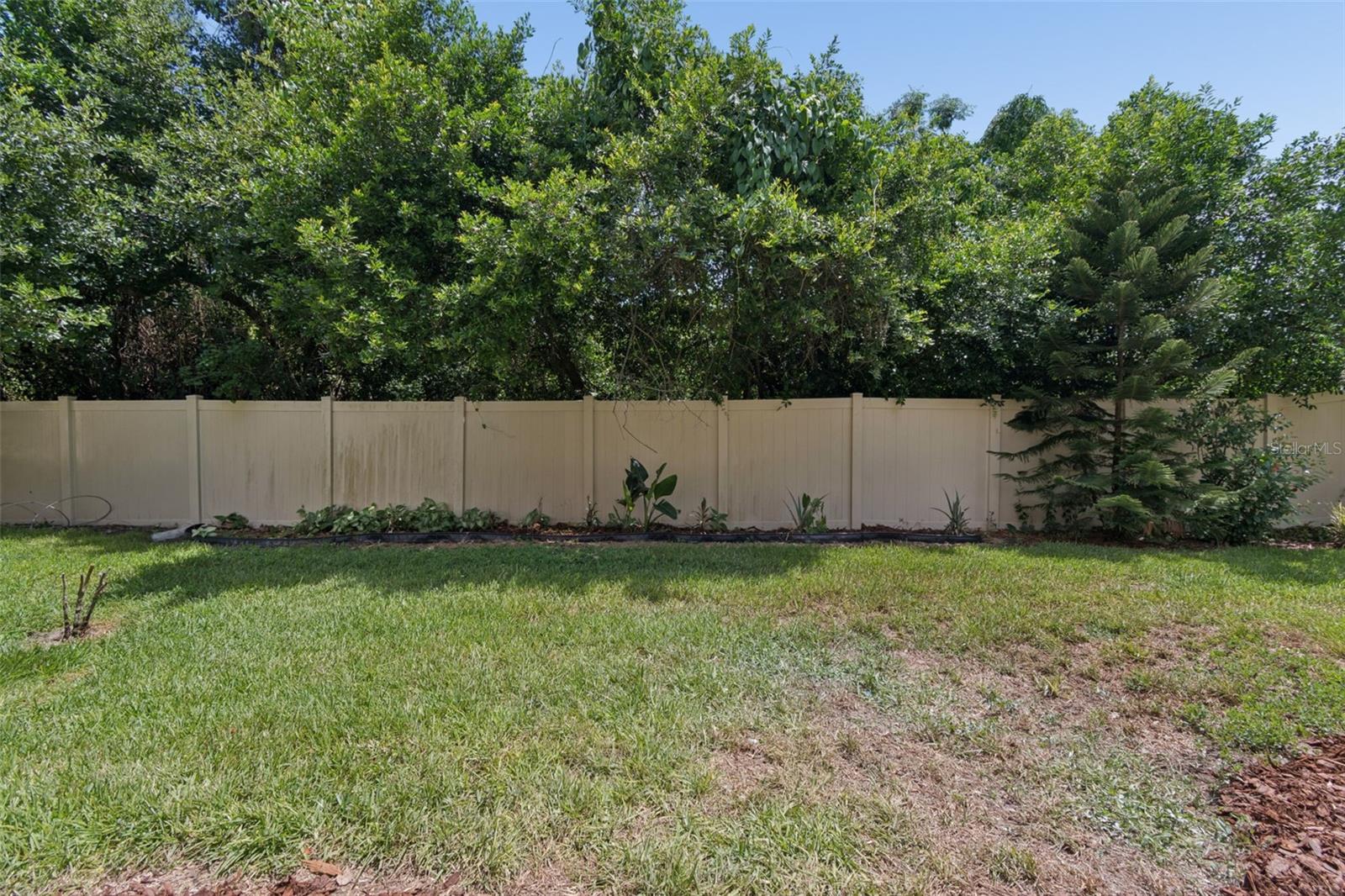 PALMETTO COVE - Residential