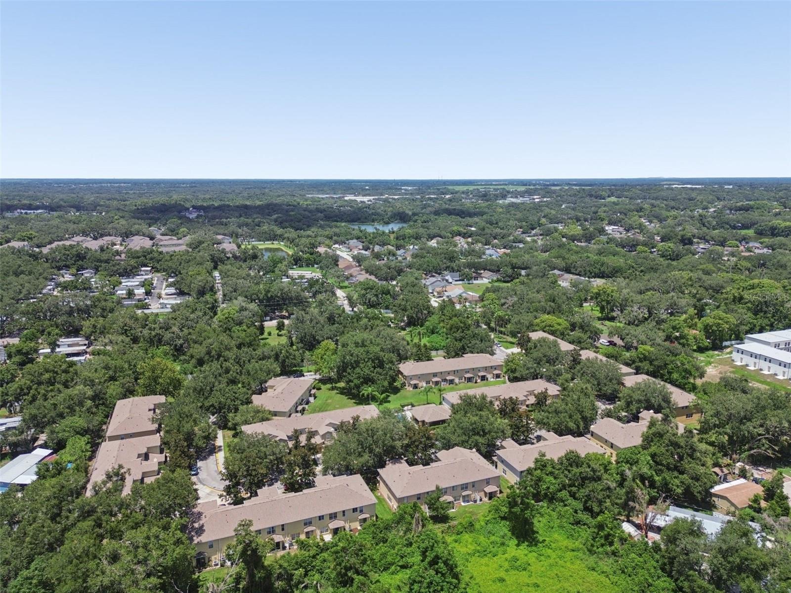 PALMETTO COVE - Residential