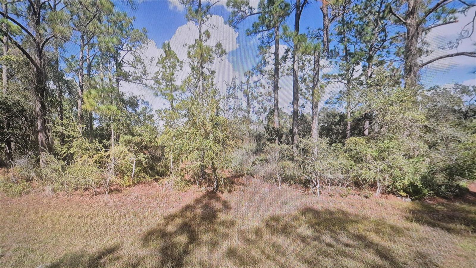 INDIAN LAKE ESTATES - Land