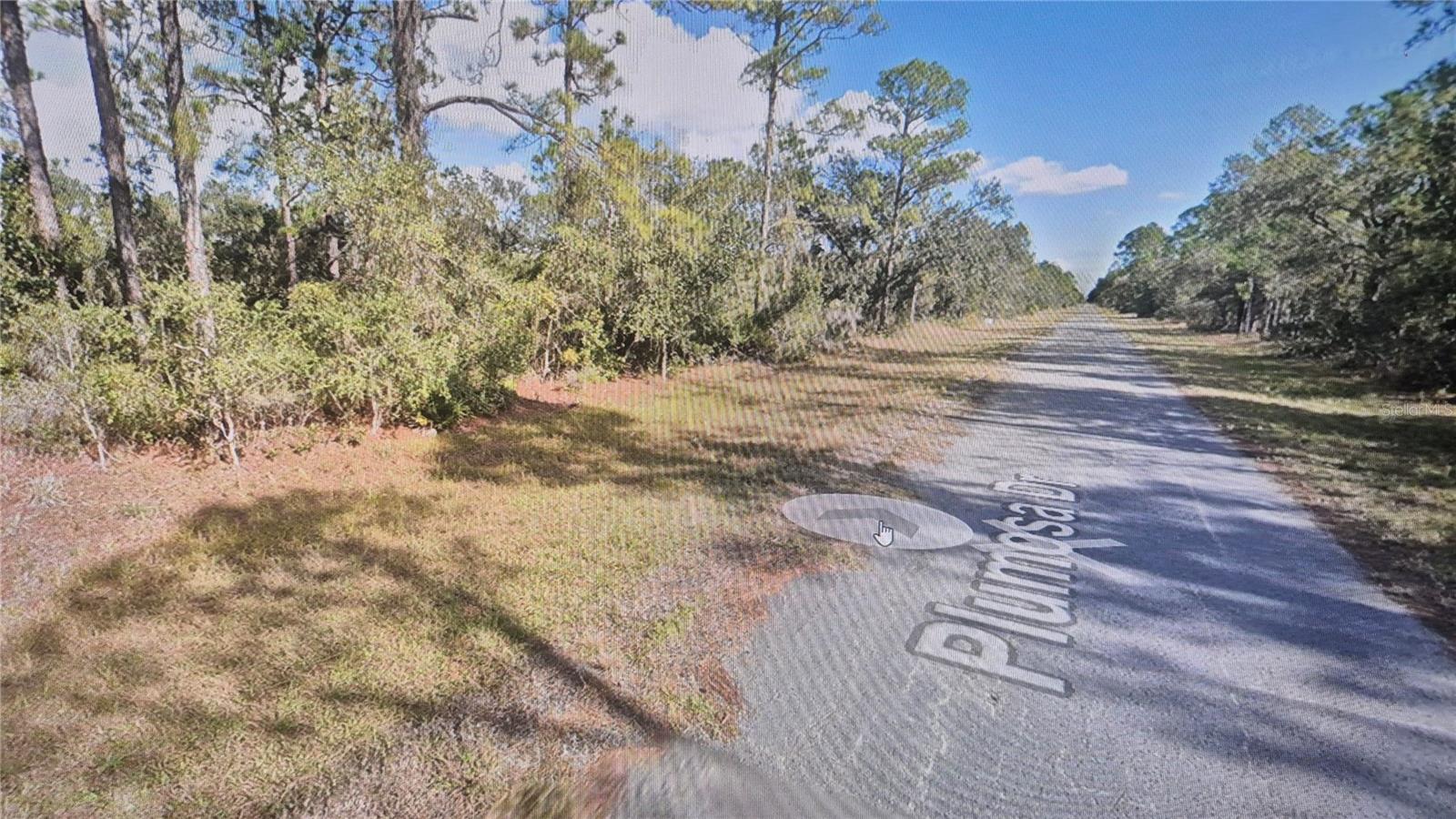 INDIAN LAKE ESTATES - Land
