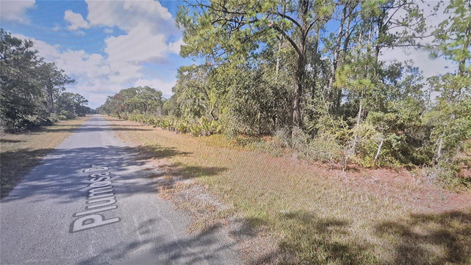 INDIAN LAKE ESTATES - Land