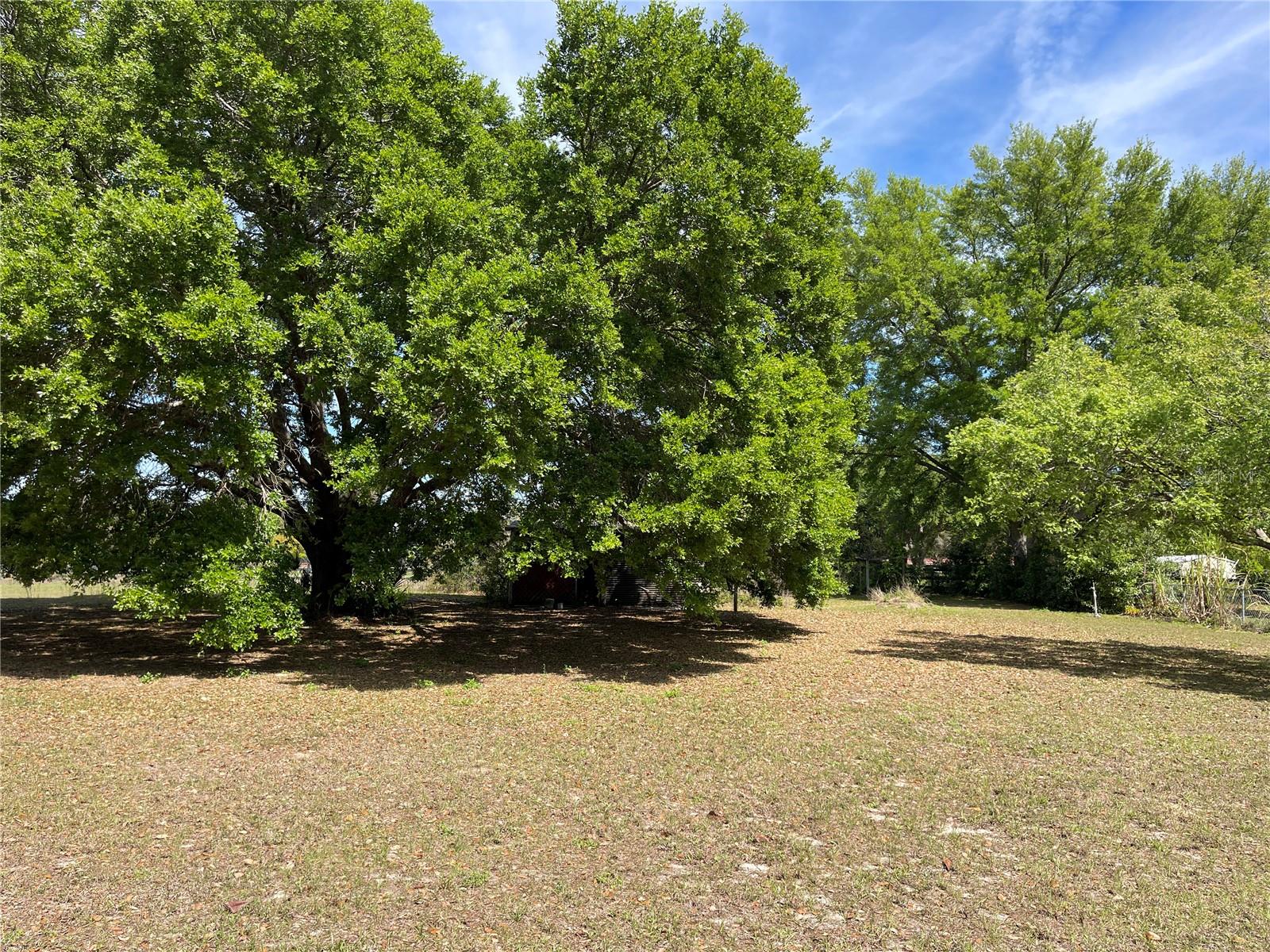 KING GROVE - Residential