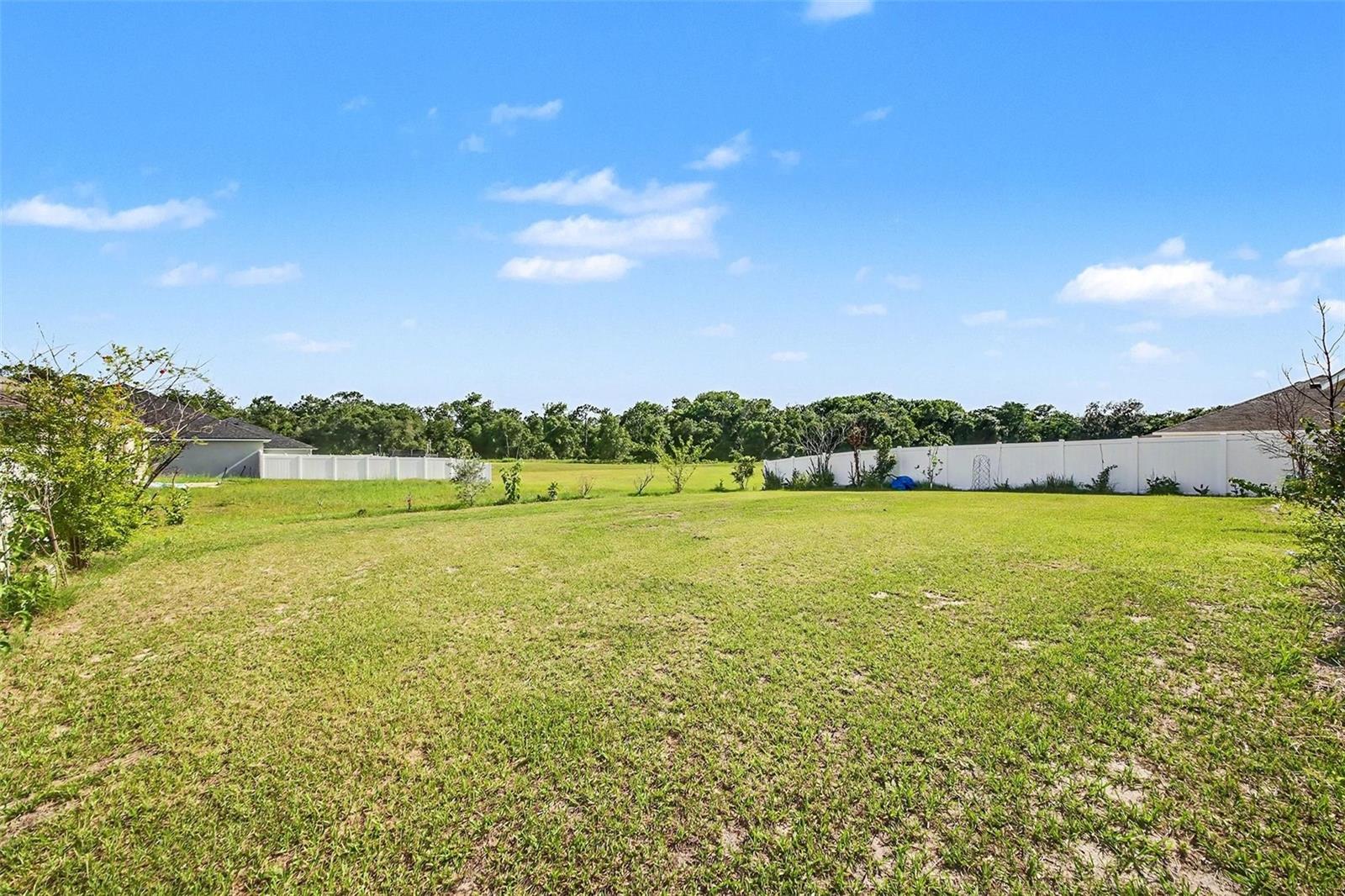 FRUITLAND PARK CHELSEAS RUN - Residential