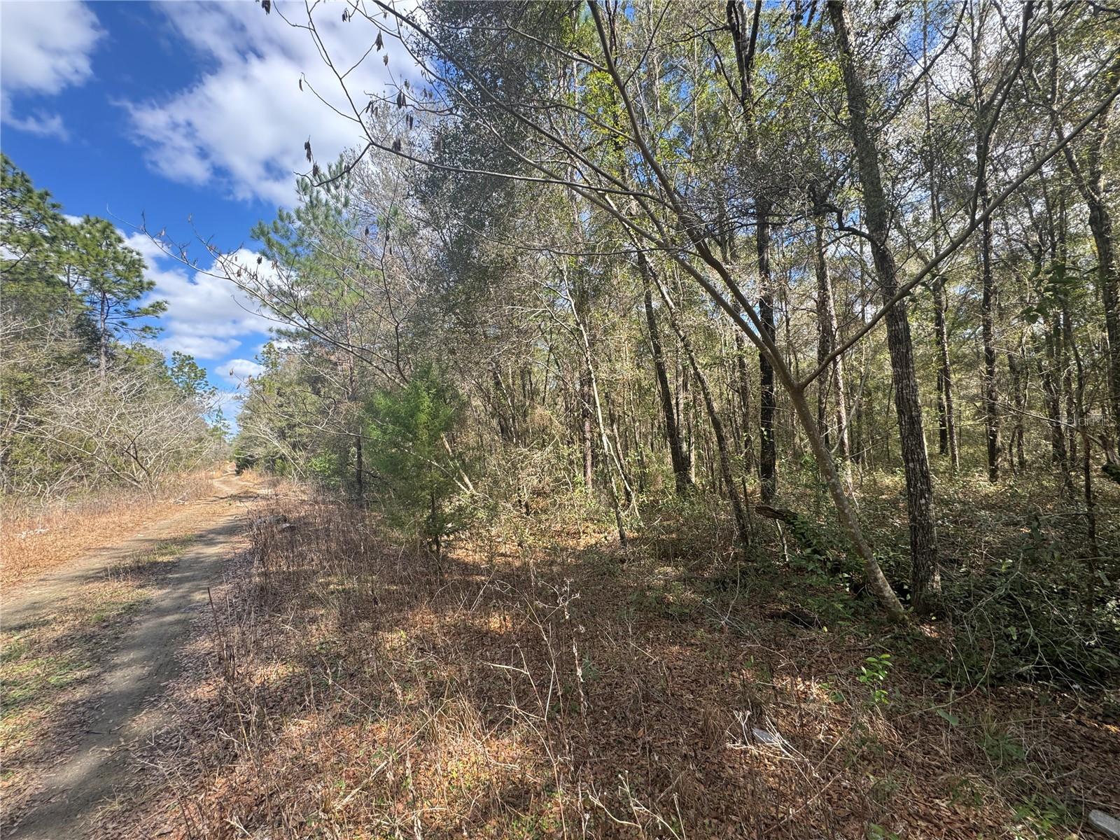 WILLISTON HIGHLANDS GOLF & C CLUB ESTATES - Land
