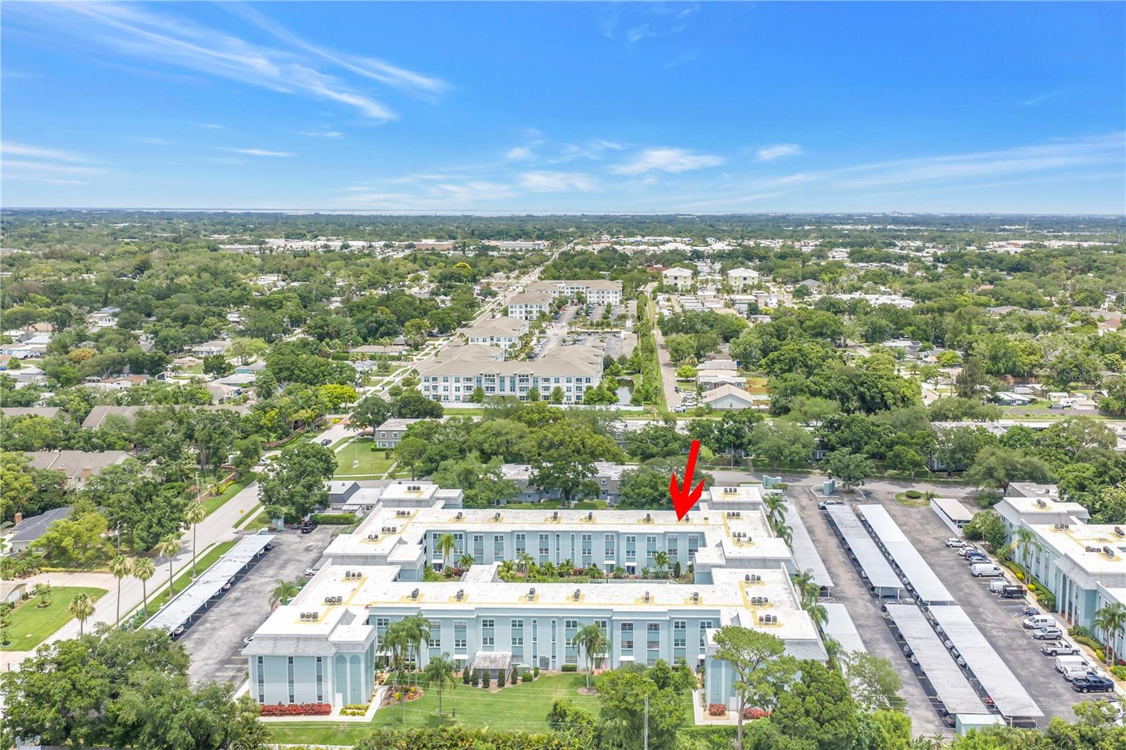 BELLEAIR FOREST - Residential
