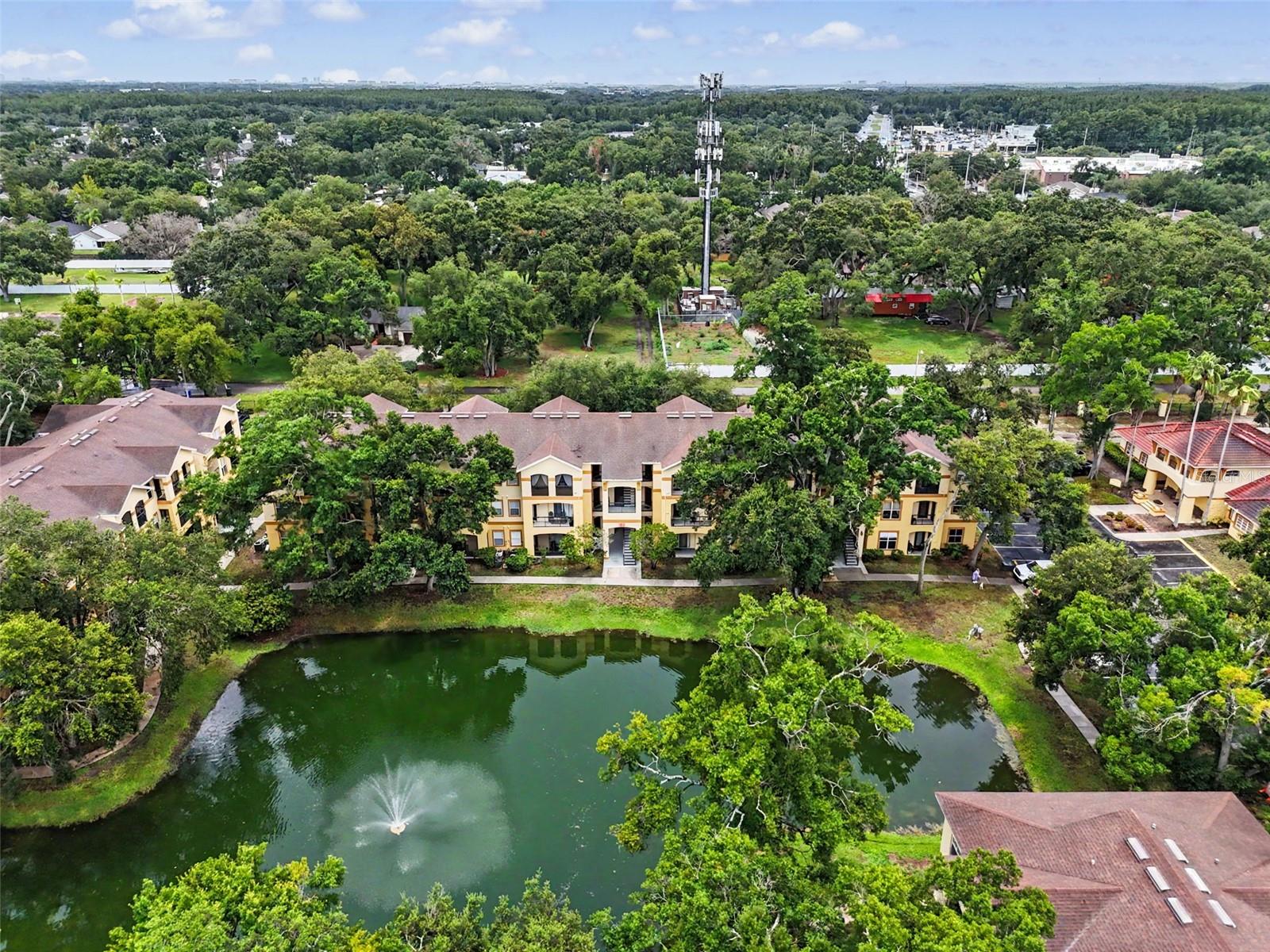 THE PINNACLE AT CARROLLWOOD A - Residential