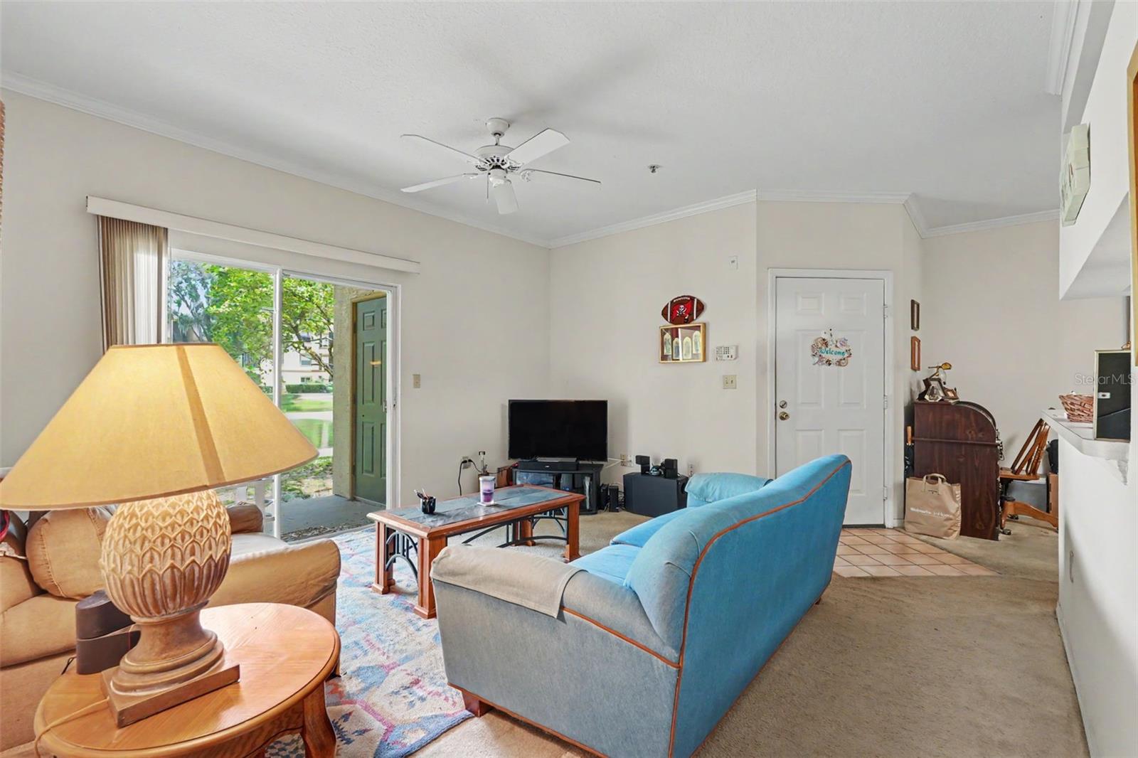 THE PINNACLE AT CARROLLWOOD A - Residential