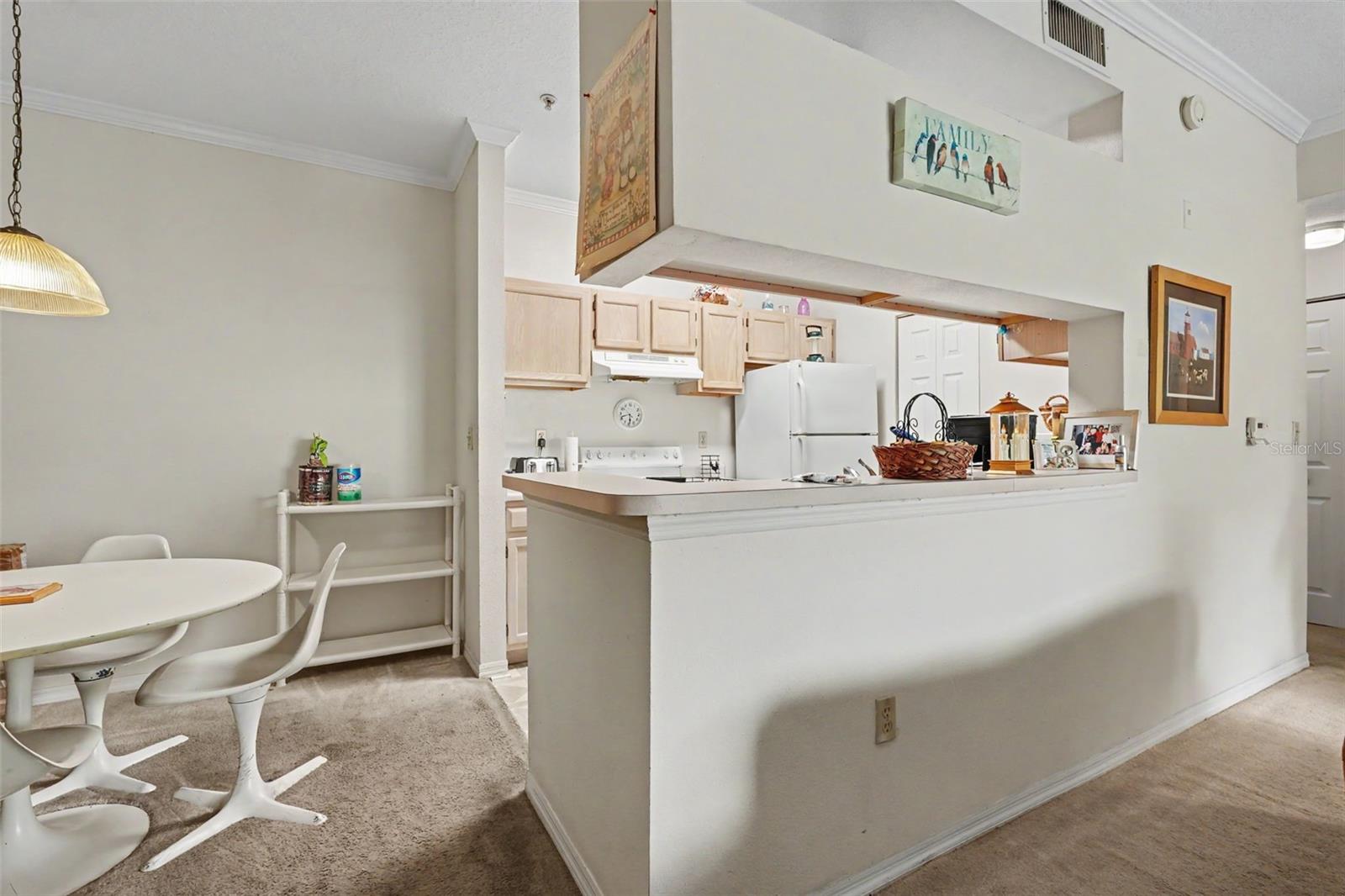 THE PINNACLE AT CARROLLWOOD A - Residential