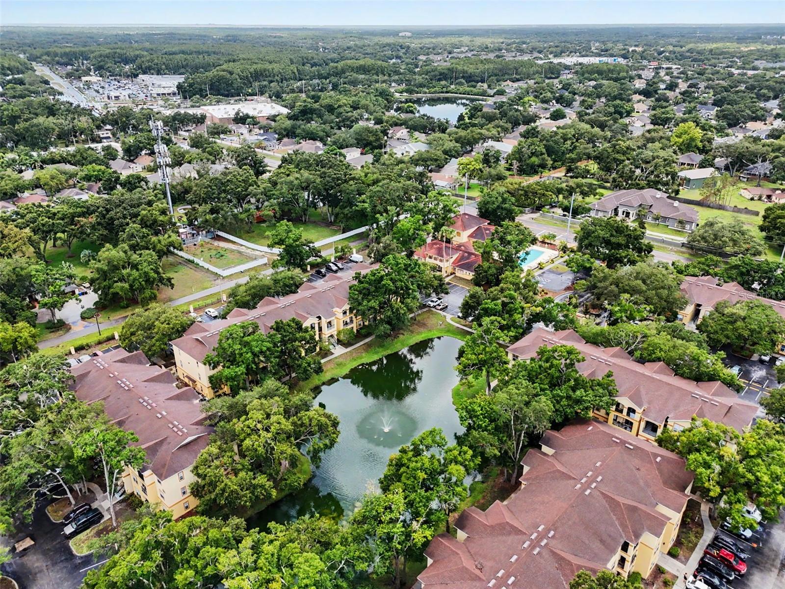 THE PINNACLE AT CARROLLWOOD A - Residential