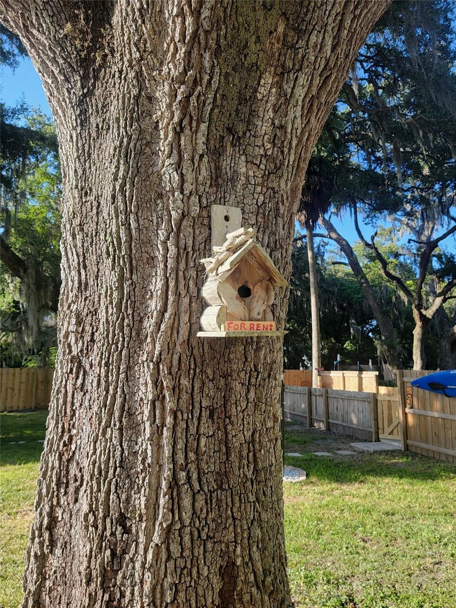 ORANGE GROVE PARK - Residential