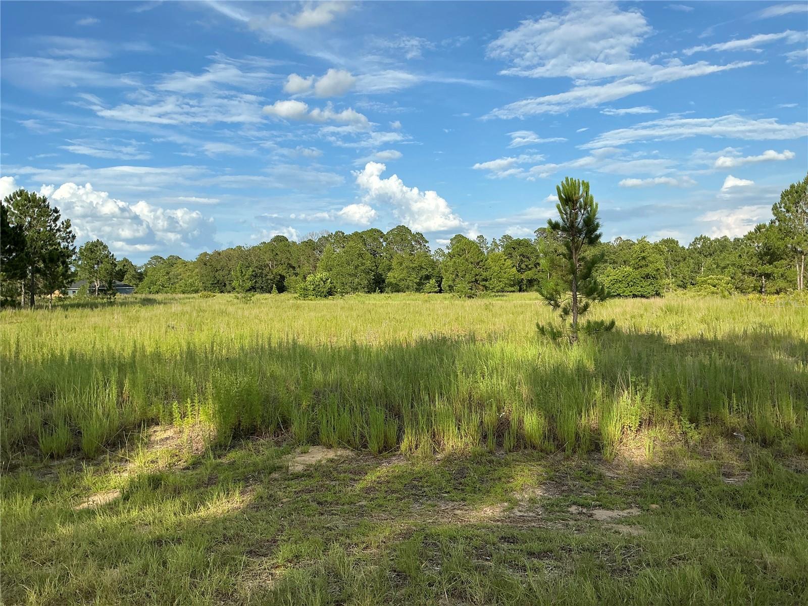 Discover the perfect opportunity to build your dream home on this 0.23-acre cleared residential lot in the peaceful community of Ocklawaha, FL. This build-ready property features power available on site and no wetlands, making it ready for your new construction plans. Even better, the adjacent lot is also available for purchase, offering the rare opportunity to own a combined 0.46-acre homesite. Whether you're looking for extra privacy, space for a larger custom home, additional outdoor living areas, or a long-term investment, this unique option provides outstanding flexibility. Surrounded by the natural beauty of Ocklawaha, you'll enjoy convenient access to Lake Weir, the Ocala National Forest, boating, fishing, hiking, and countless outdoor recreation opportunities. Shopping, dining, schools, and medical facilities in Ocala and Belleview are just a short drive away, providing the perfect blend of peaceful living and everyday convenience. Whether you're building your forever home, a seasonal getaway, or adding to your investment portfolio, this property offers exceptional value in one of Marion County's growing residential communities. Don't miss this opportunity to secure one or both of these desirable homesites!