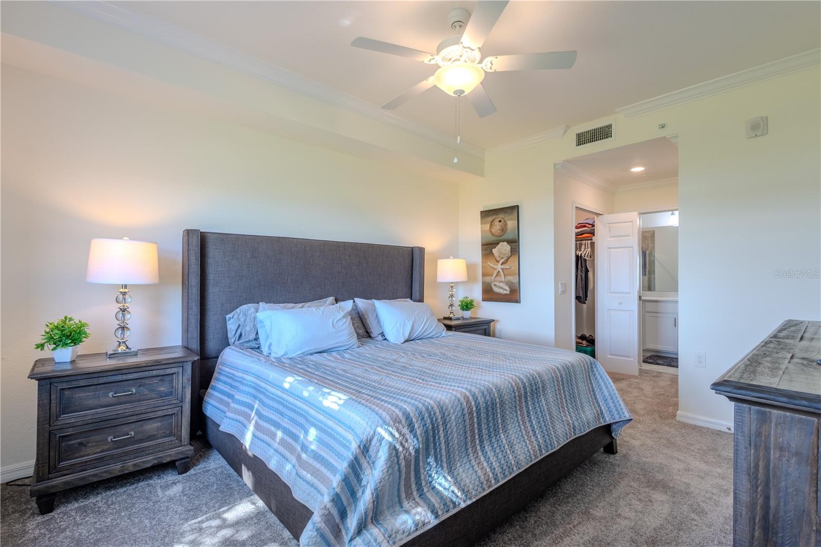 TIDEWATER PRESERVE - Residential