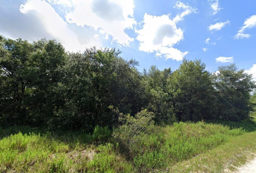Discover the perfect opportunity to build your dream home or invest in one of Ocala's growing communities! This 0.24-acre lot is located in Ocala Ridge Unit 6, offering a peaceful setting with no HOA and plenty of room to create your ideal Florida retreat.

Enjoy the convenience of being just minutes from shopping, dining, medical facilities, and major roadways, while still experiencing the quiet charm of a residential neighborhood. The property is located near the renowned World Equestrian Center, the historic downtown Ocala area, and beautiful outdoor destinations including Rainbow Springs State Park. Residents love the area for its affordable cost of living, year-round outdoor recreation, equestrian culture, and easy access to both Gainesville and Orlando. Whether you're looking to build now or hold for future growth, this lot offers excellent potential in a rapidly developing area.