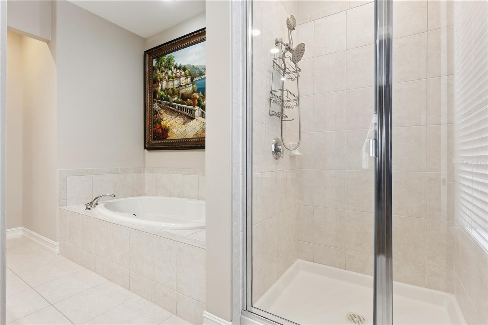 CARLYLE RESIDENCES SOUTH AT CELEBRATION - Residential