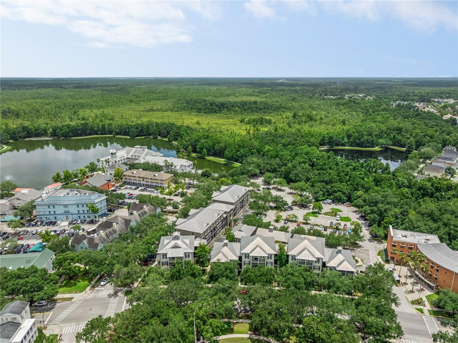 CARLYLE RESIDENCES SOUTH AT CELEBRATION - Residential