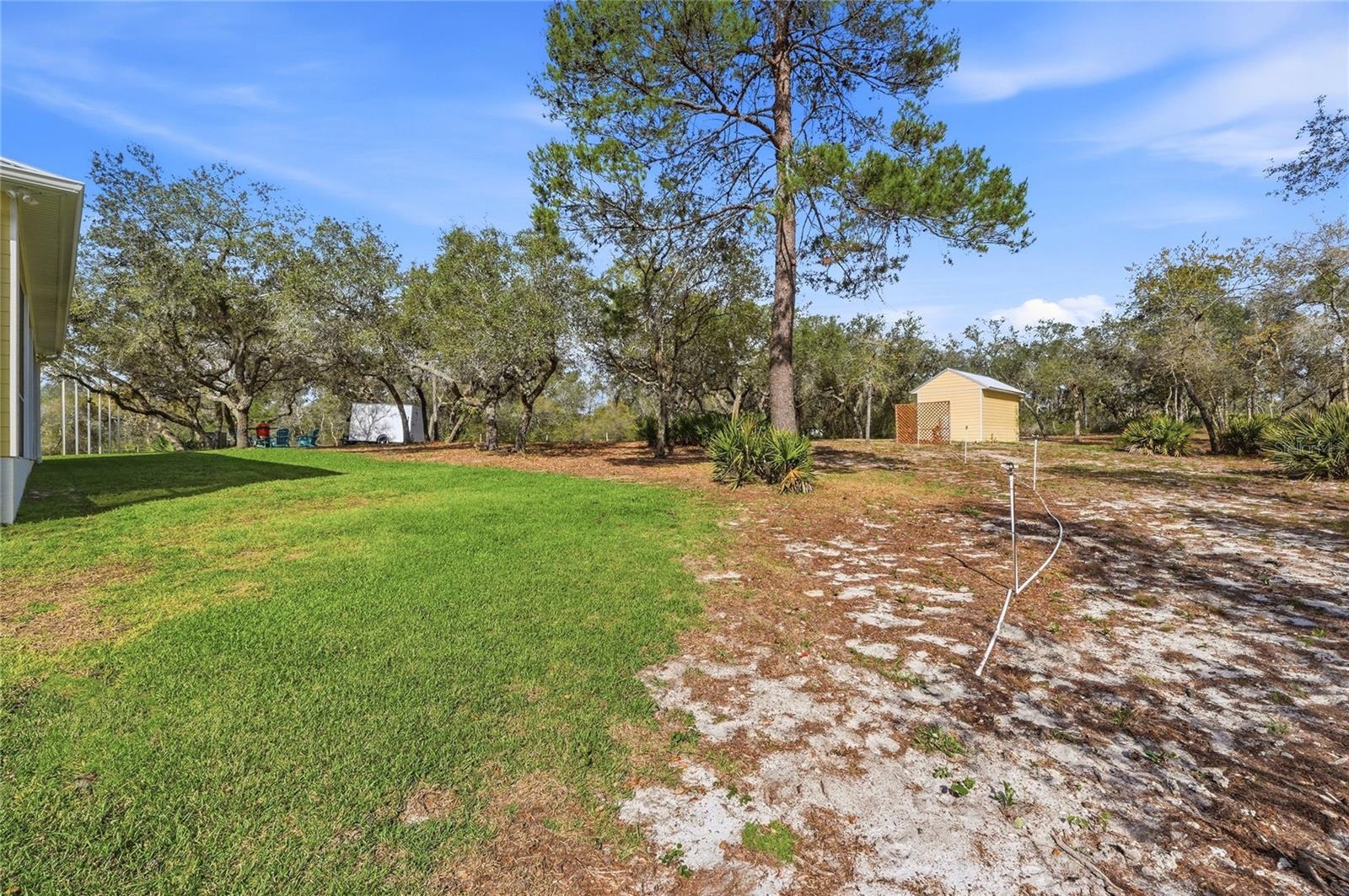 BLUE JORDAN FOREST - Residential