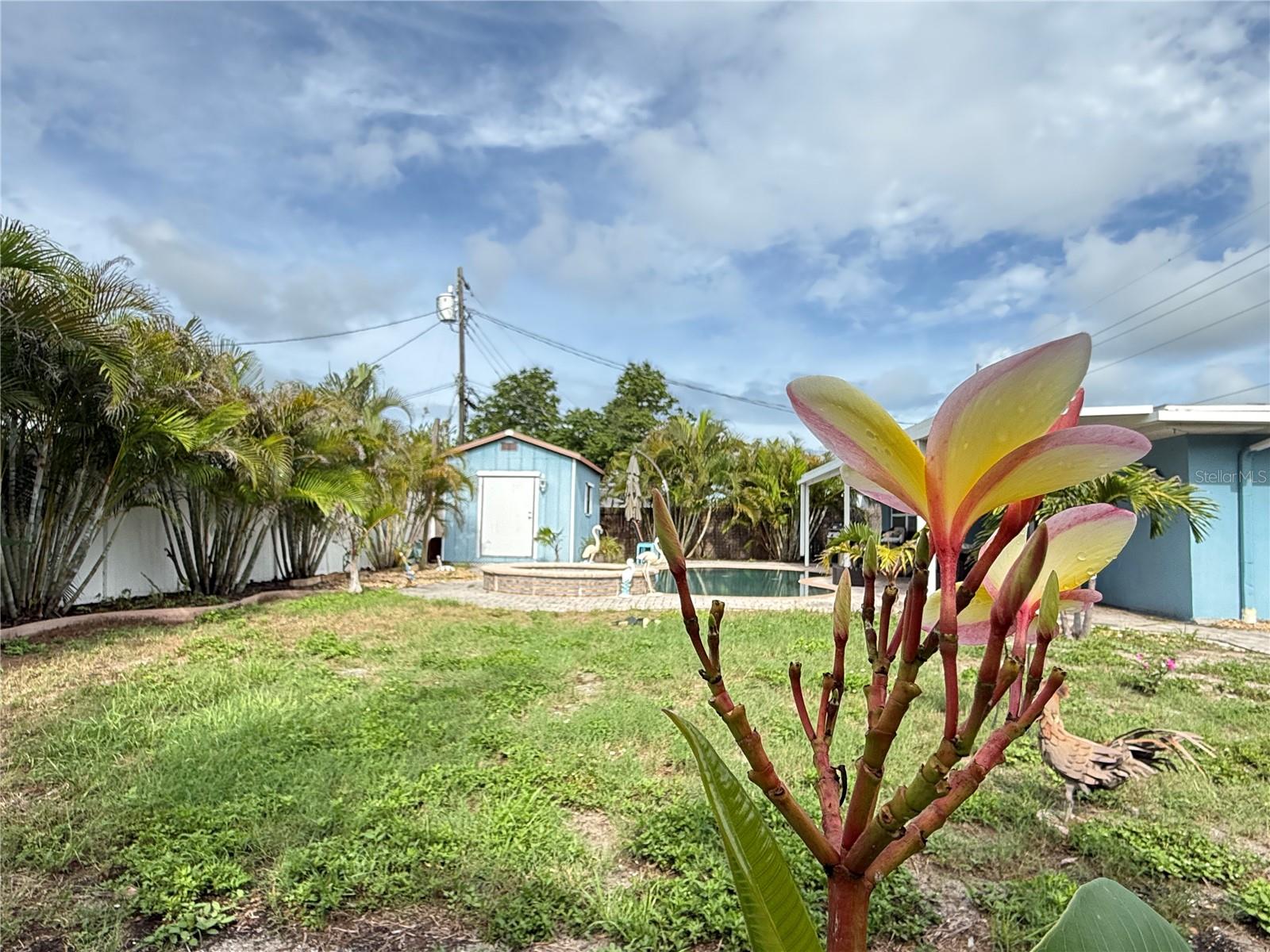 MARSANDRA ESTATES - Residential