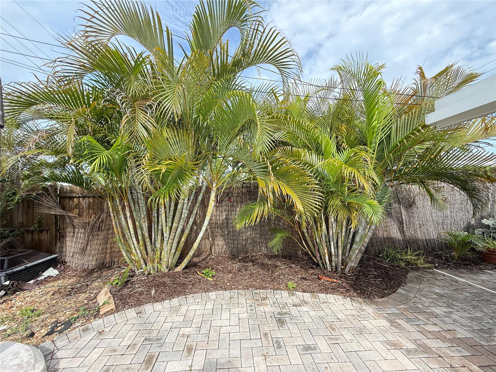 MARSANDRA ESTATES - Residential