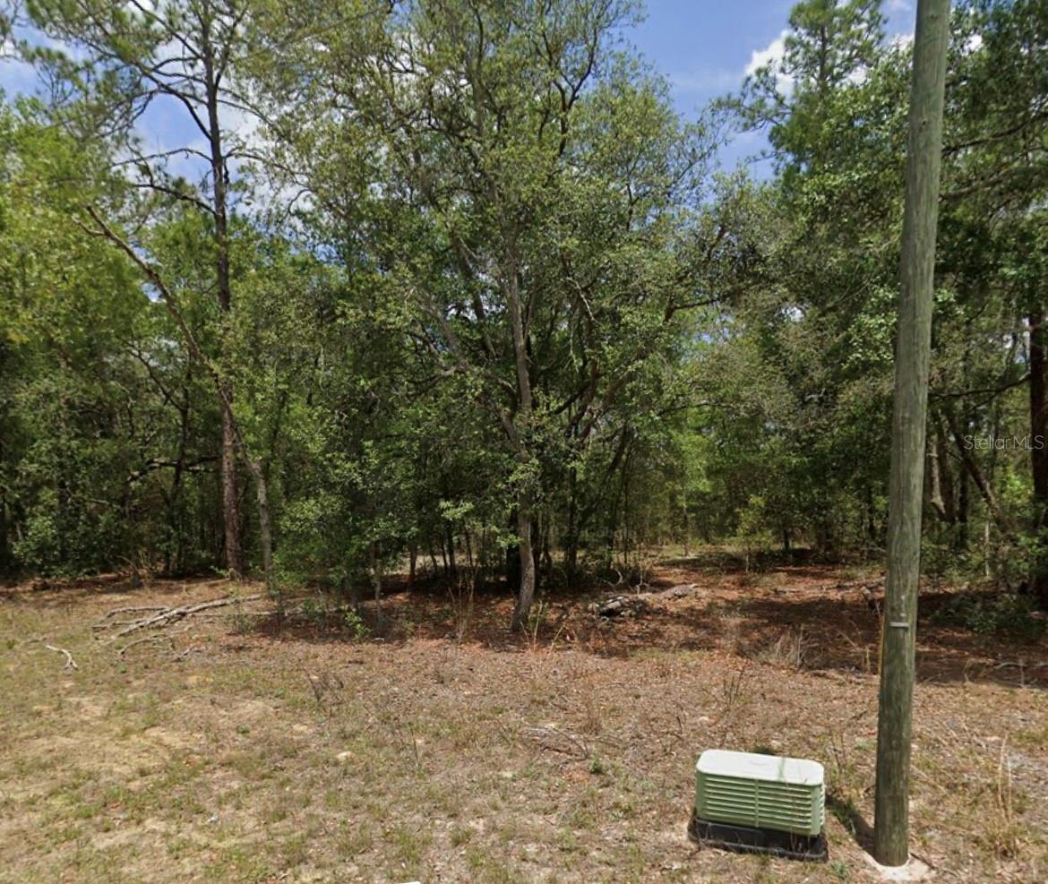 Comes with elevation survey and if you want the plans for a home 3/2. Build your vision in the heart of Central Florida on this beautiful homesite in Citrus Springs, ideally located just outside of Ocala and surrounded by some of the region’s most breathtaking natural springs. Nestled in a quiet, established neighborhood, this parcel offers the perfect blend of privacy and convenience, with paved roads, public utilities nearby, and no HOA to limit your plans. Enjoy the best of Florida’s outdoor lifestyle with easy access to crystal-clear springs, scenic rivers, and endless opportunities for kayaking, tubing, and hiking. You’re just a short drive from the vibrant city of Ocala, known for its shopping, dining, and equestrian charm, while still being tucked away in a peaceful residential setting. Whether you're looking to build your dream home, invest in land, or create a weekend retreat, this property offers incredible potential. With its desirable location, natural beauty, and growing demand in the area, this Citrus Springs lot is a rare opportunity you won’t want to miss.