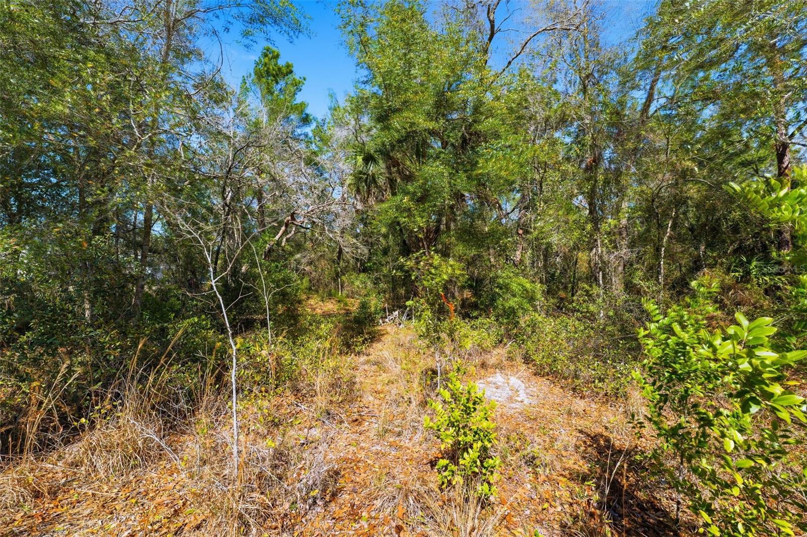 PORT RICHEY CO - Land