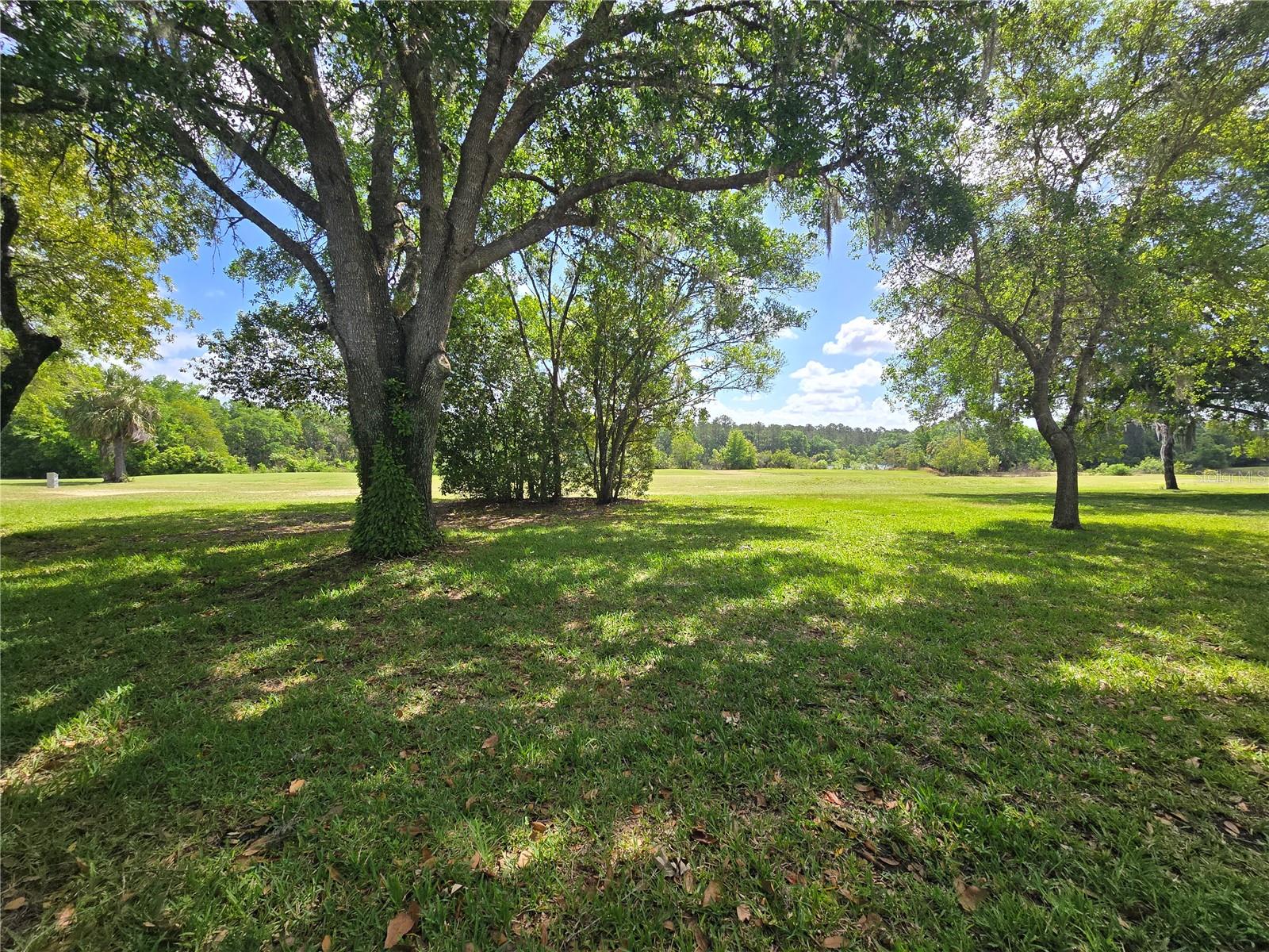 LIVE OAK VILLAGE CONDO - Residential