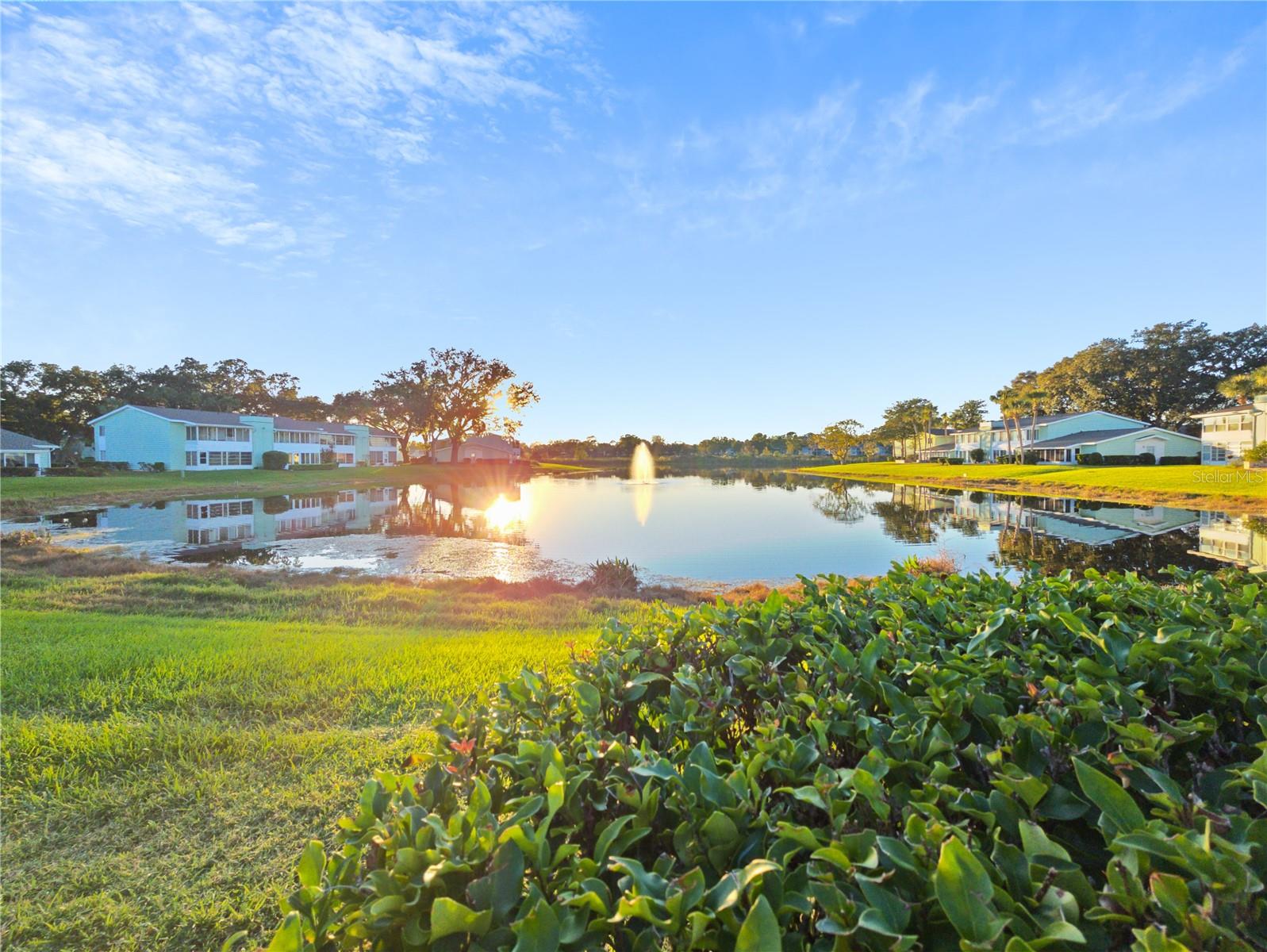 LIVE OAK VILLAGE CONDO - Residential