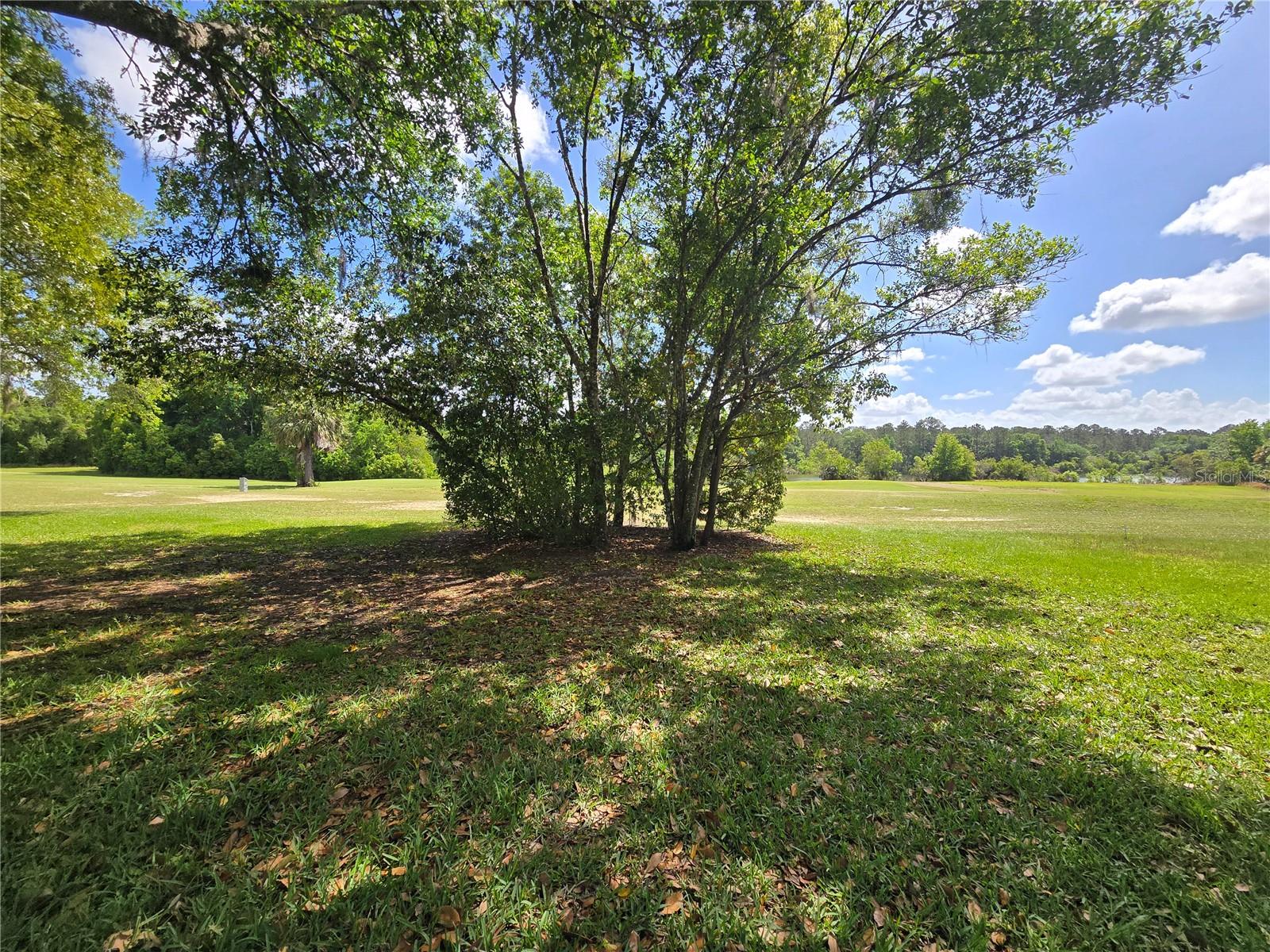 LIVE OAK VILLAGE CONDO - Residential