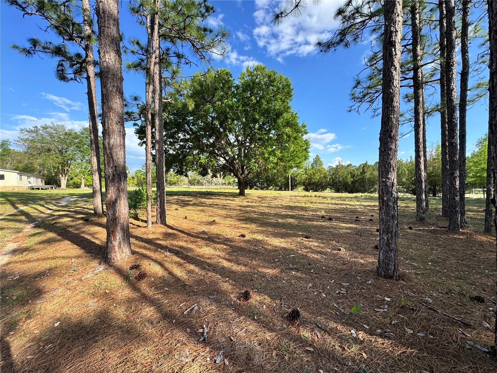 Hurry, very rare 4.5 acre parcel located in Levy count. Mobile home is a clean slate ready for you to build it to your taste. Property is surrounded by trees and completely fenced with two entrances, perfect for mini farm or horses. New power pole and meter can were just installed. Above ground pool is in great shape just needs to be cleaned. Working Well and Septic.
