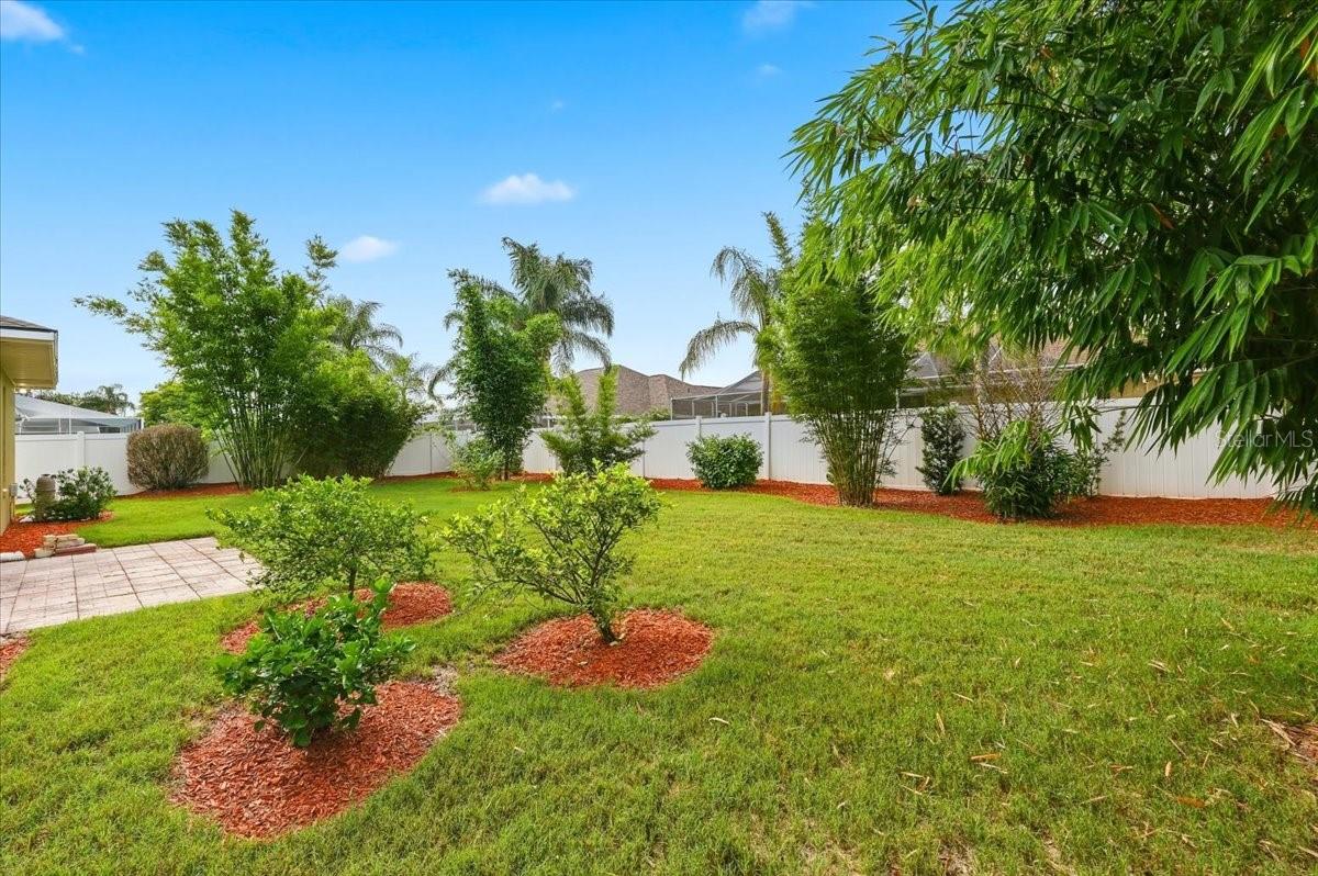 MAGNOLIA CHASE - Residential