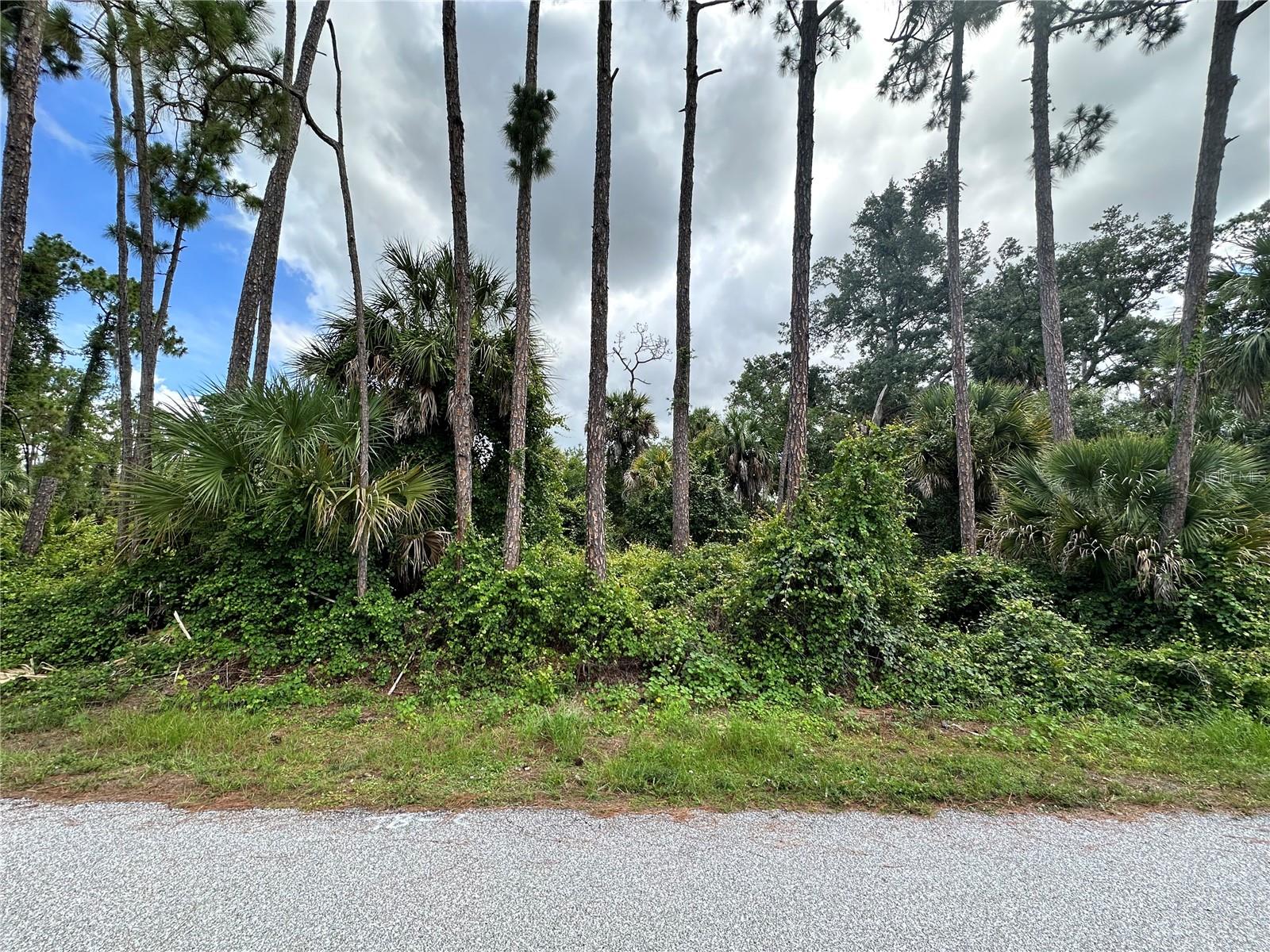 Prime Location in Rapidly Growing North Port! Build your dream home on this conveniently located vacant lot, situated right in the heart of a booming North Port neighborhood surrounded by beautiful new construction. Enjoy the perfect balance of a quiet residential feel with quick, easy access to local shopping, dining, and entertainment. Lot dimensions are approximately 86 X 125 X 73 X 125.