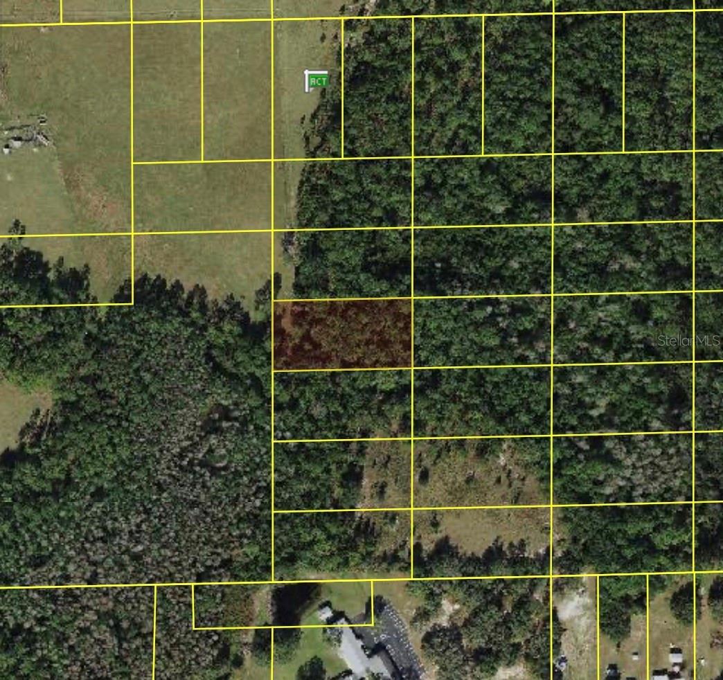MINERAL RIGHTS - Land